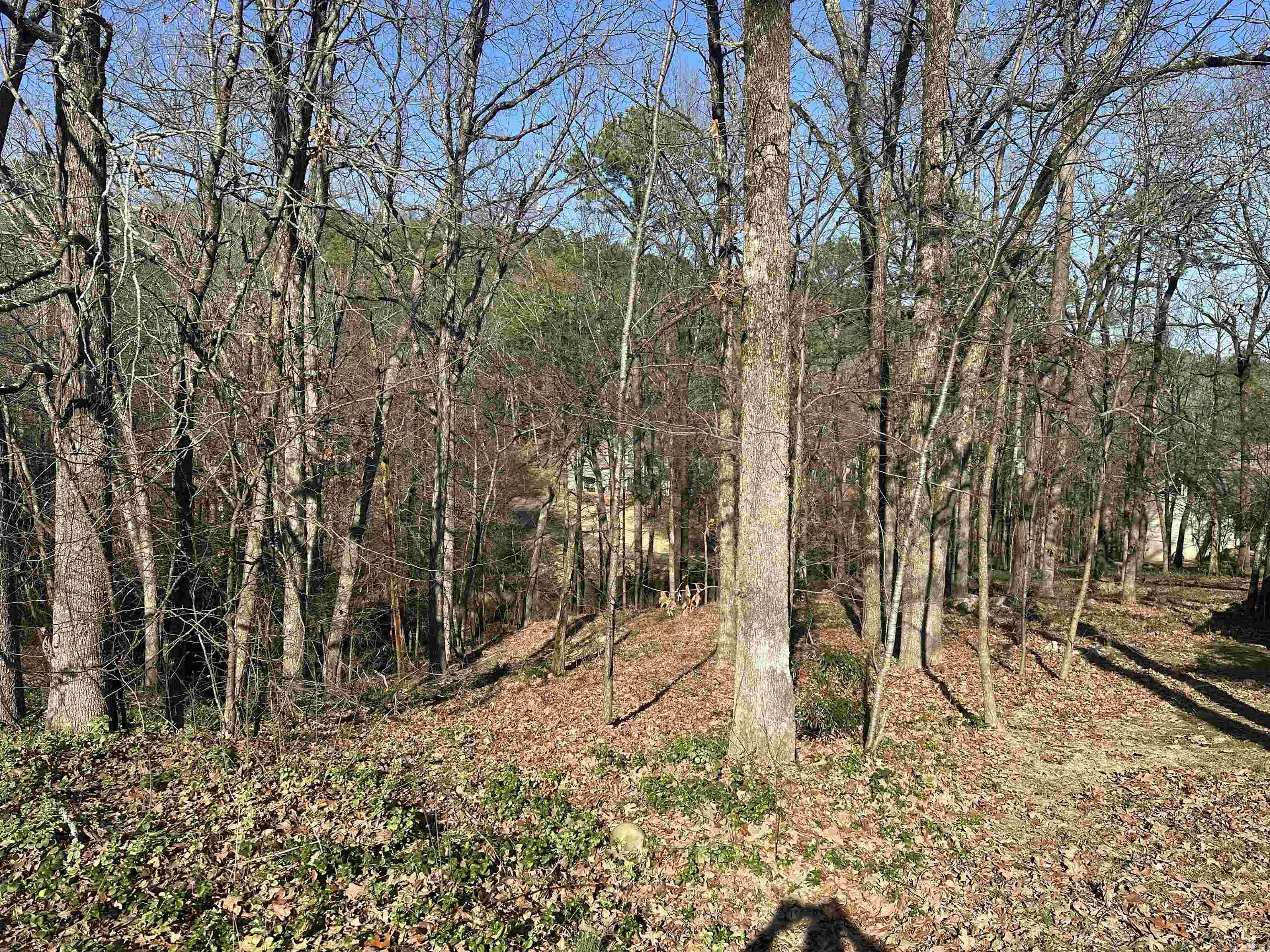 3 Bonaparte Ct.  Little Rock, AR