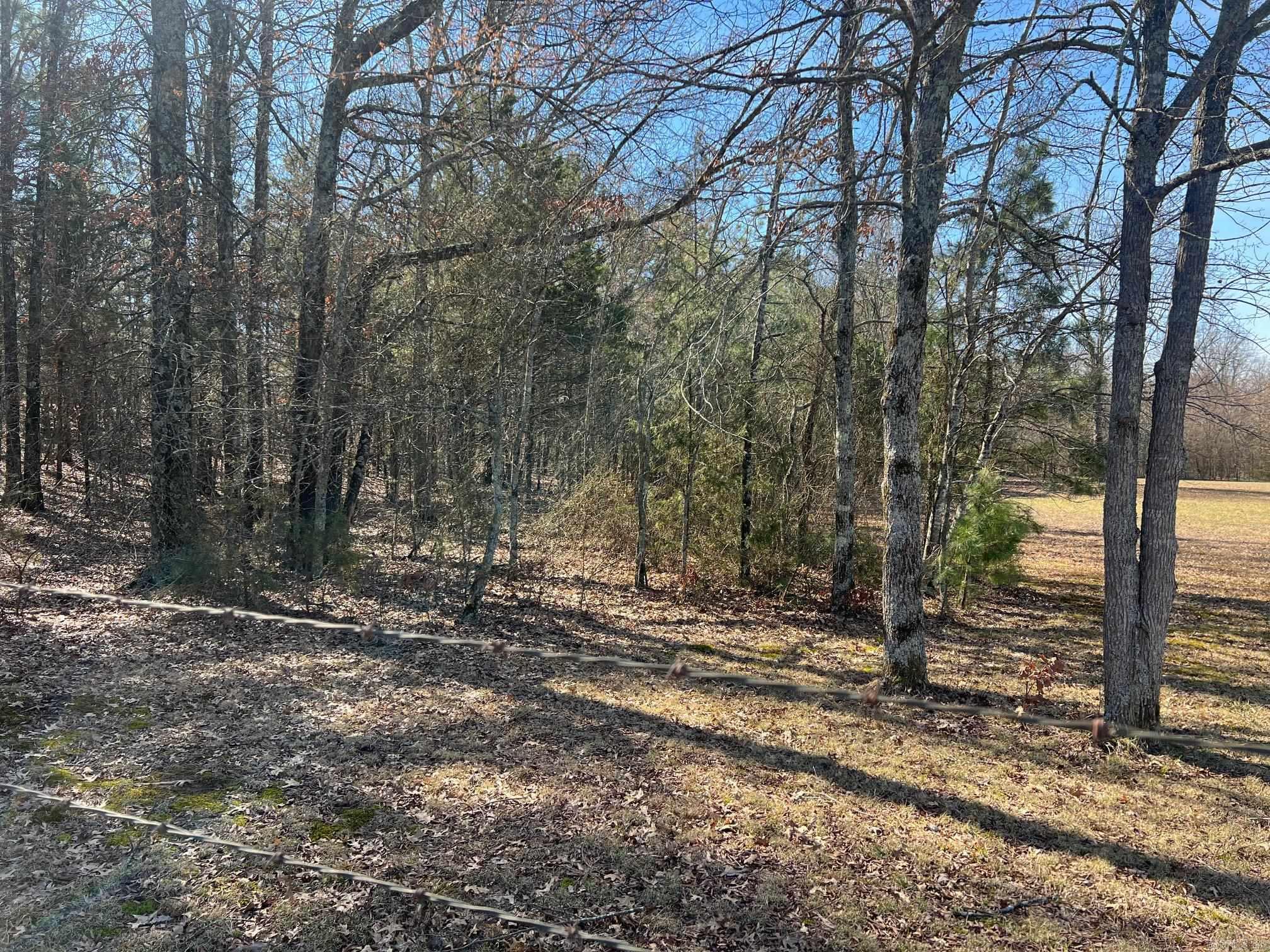 9999  Sugartree Lane  Mena, AR