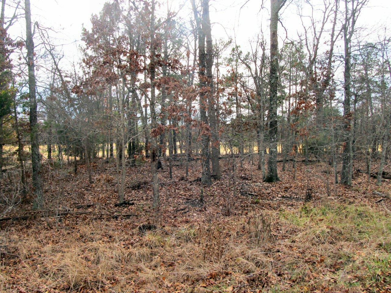   Tampa  Cherokee Village, AR