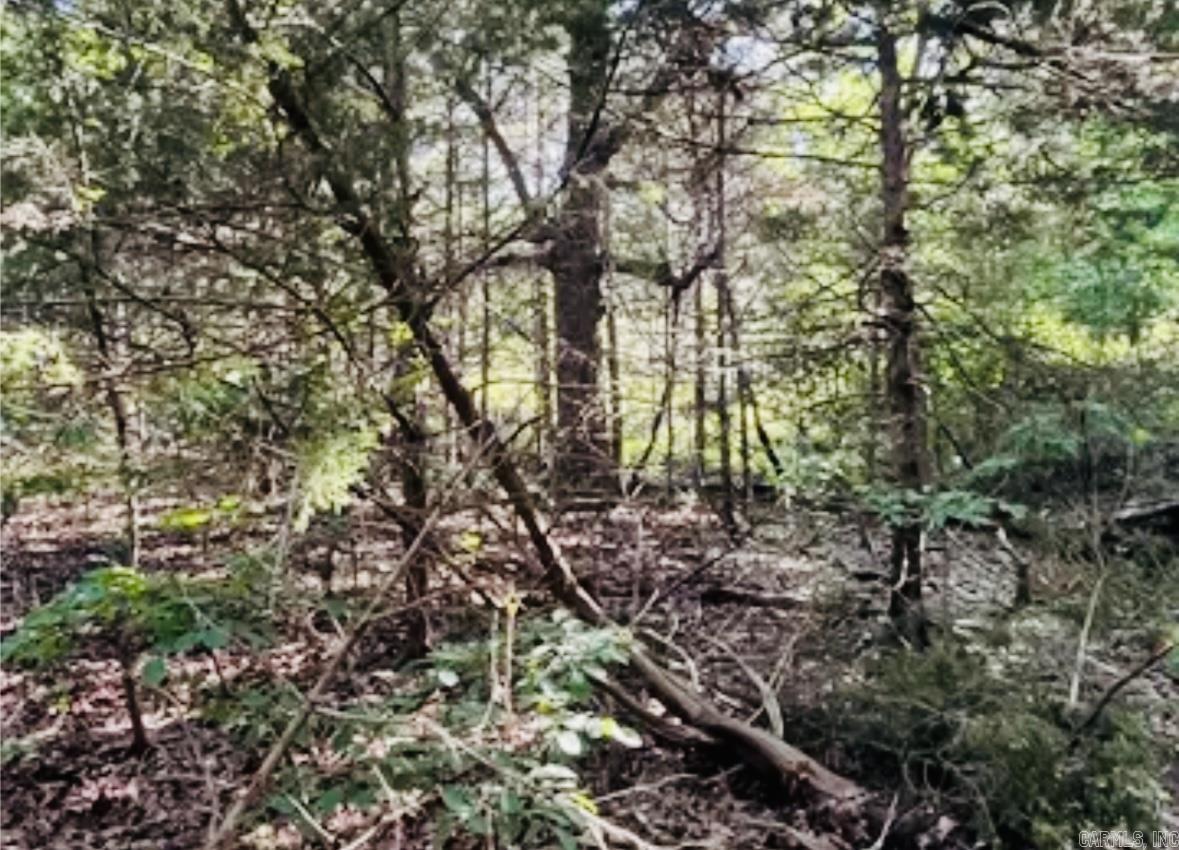 509  Range (w/Hwy 65 frontage acres)  Marshall, AR