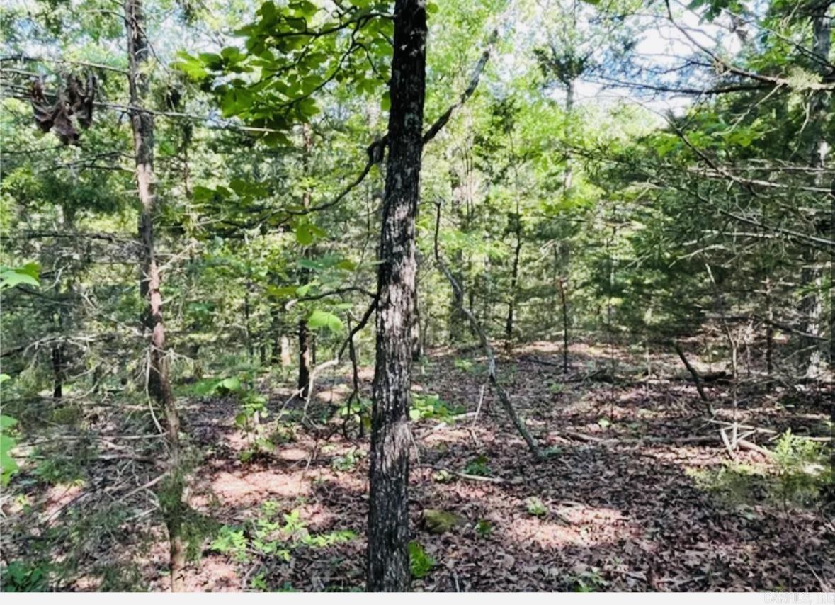 509  Range (w/Hwy 65 frontage acres)  Marshall, AR