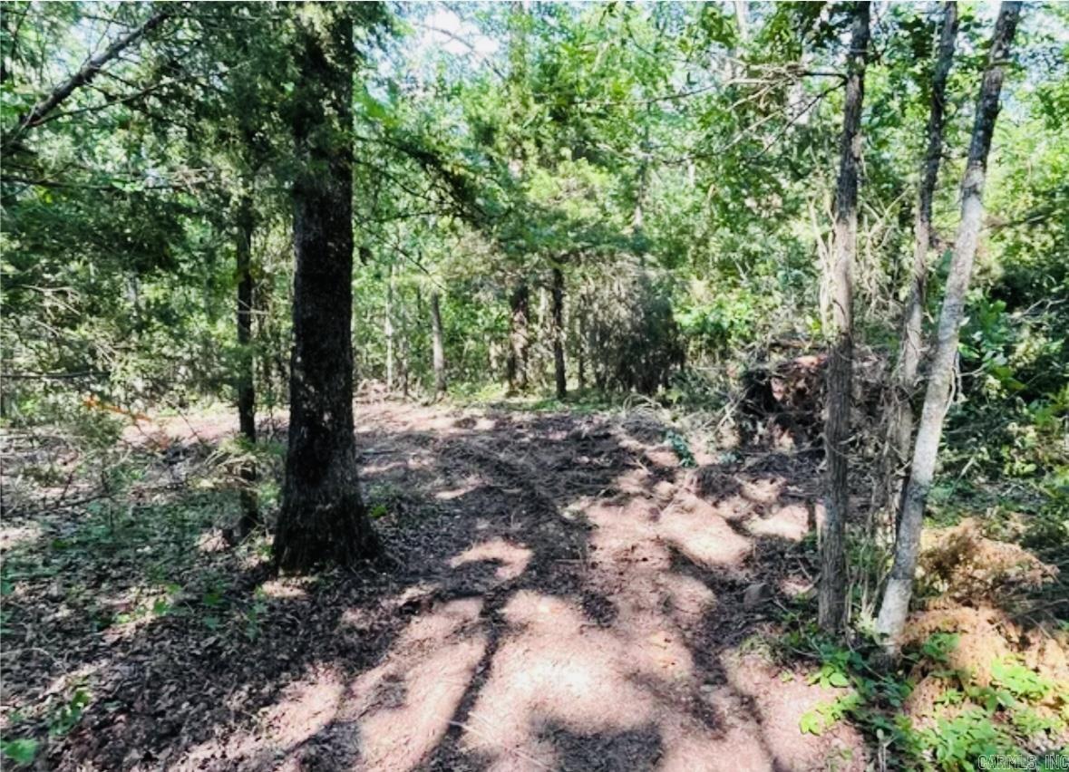 509  Range (w/Hwy 65 frontage acres)  Marshall, AR