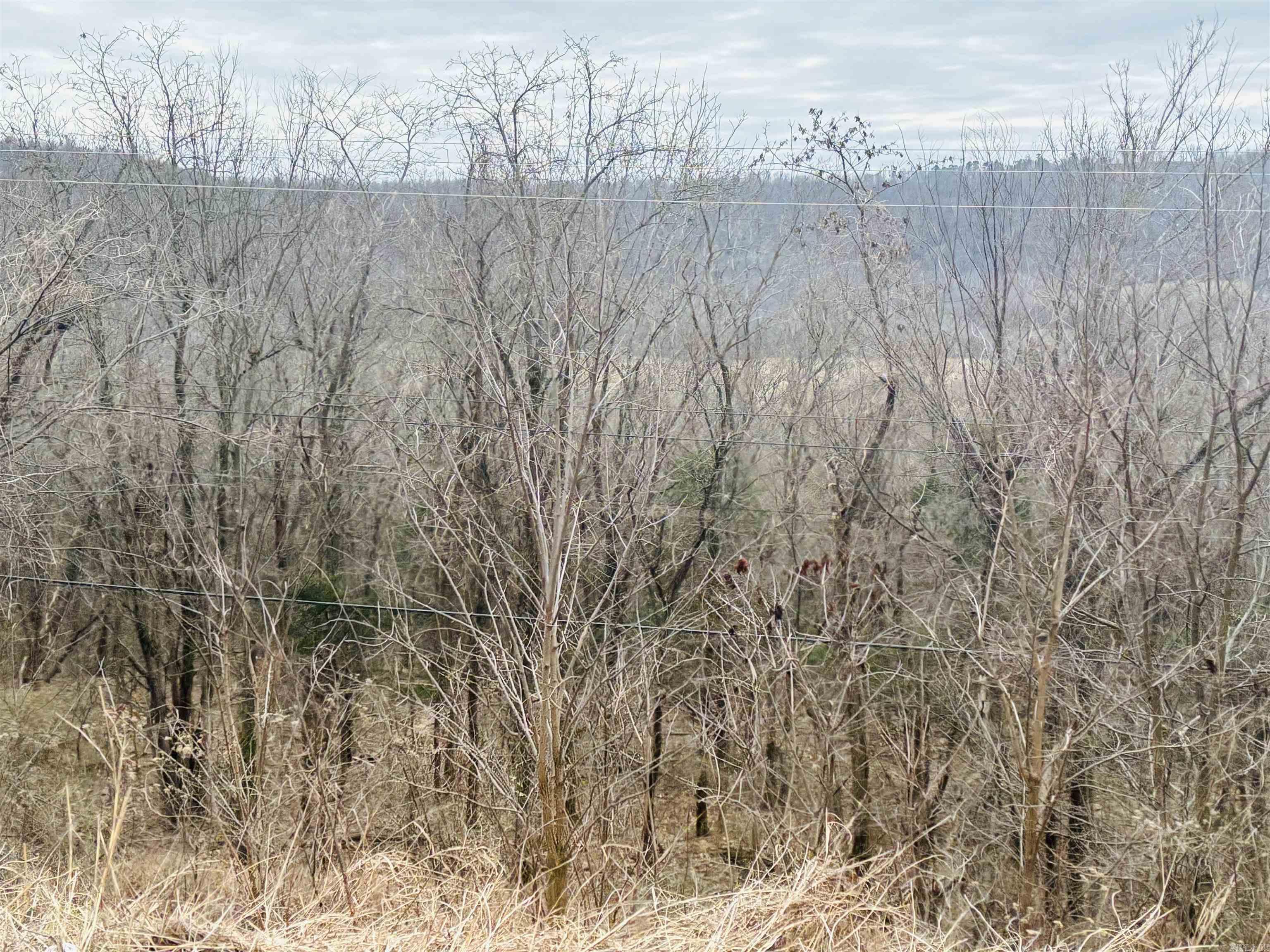 509  Range (w/Hwy 65 frontage acres)  Marshall, AR