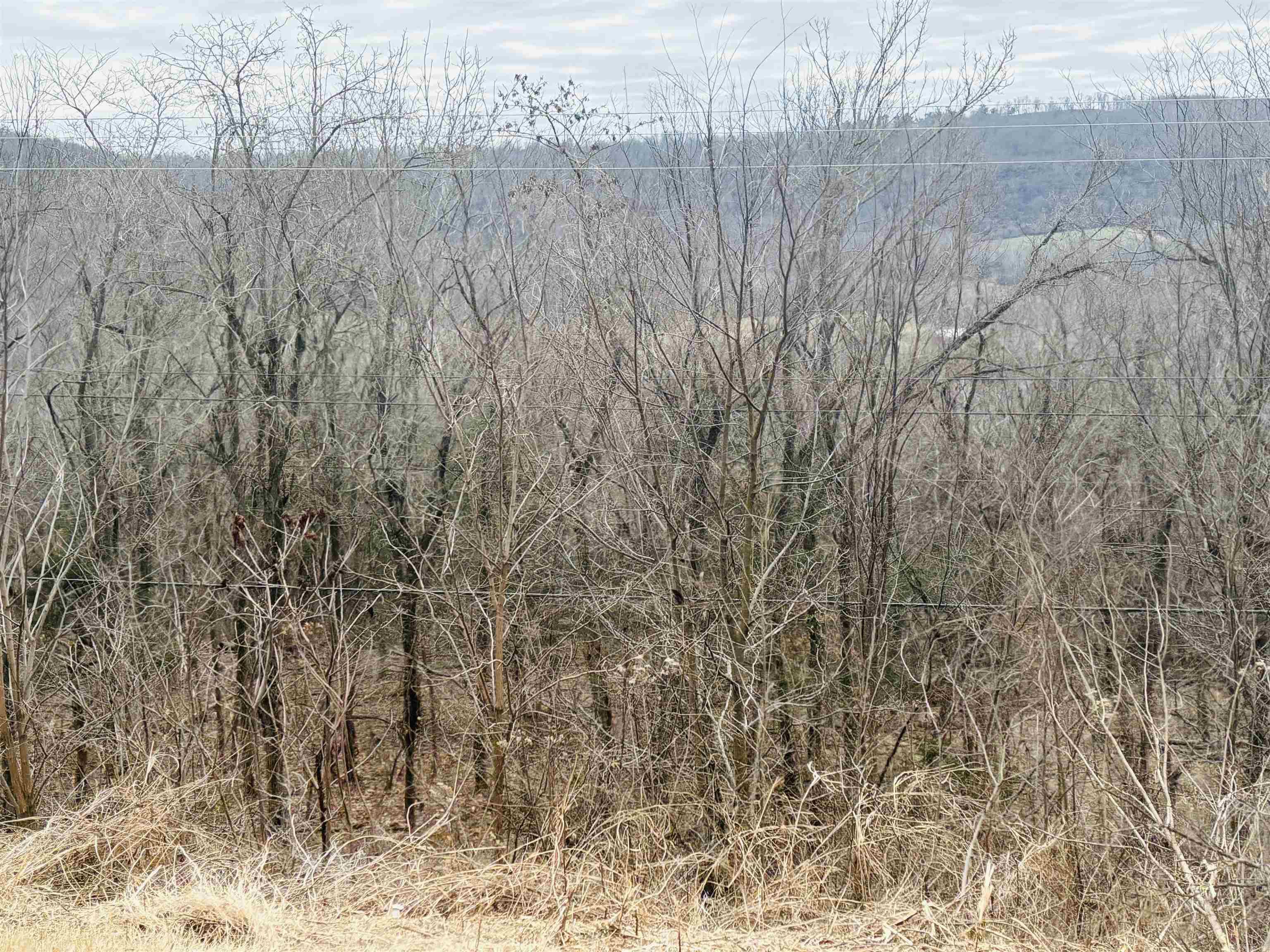 509  Range (w/Hwy 65 frontage acres)  Marshall, AR