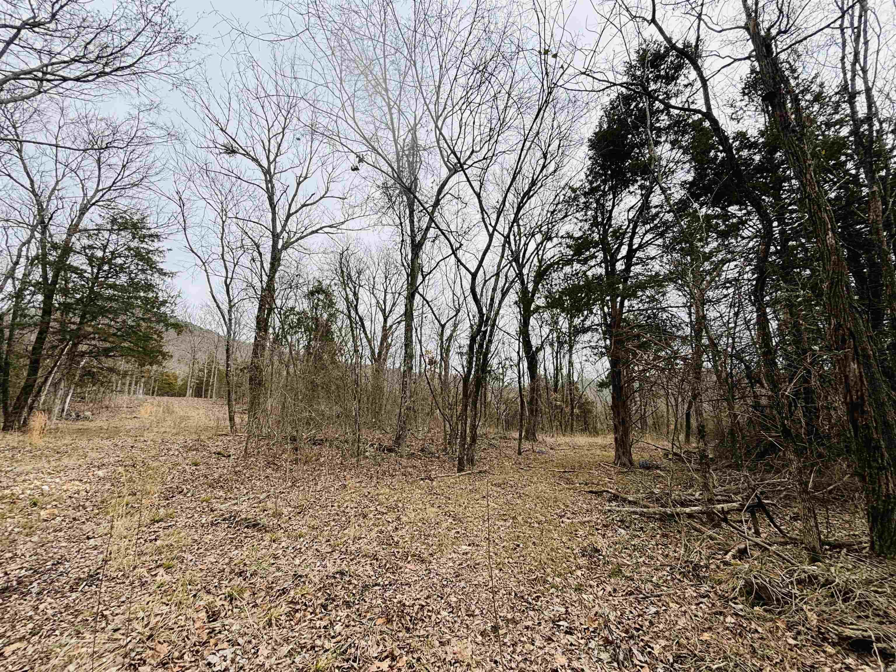 509  Range (w/Hwy 65 frontage acres)  Marshall, AR