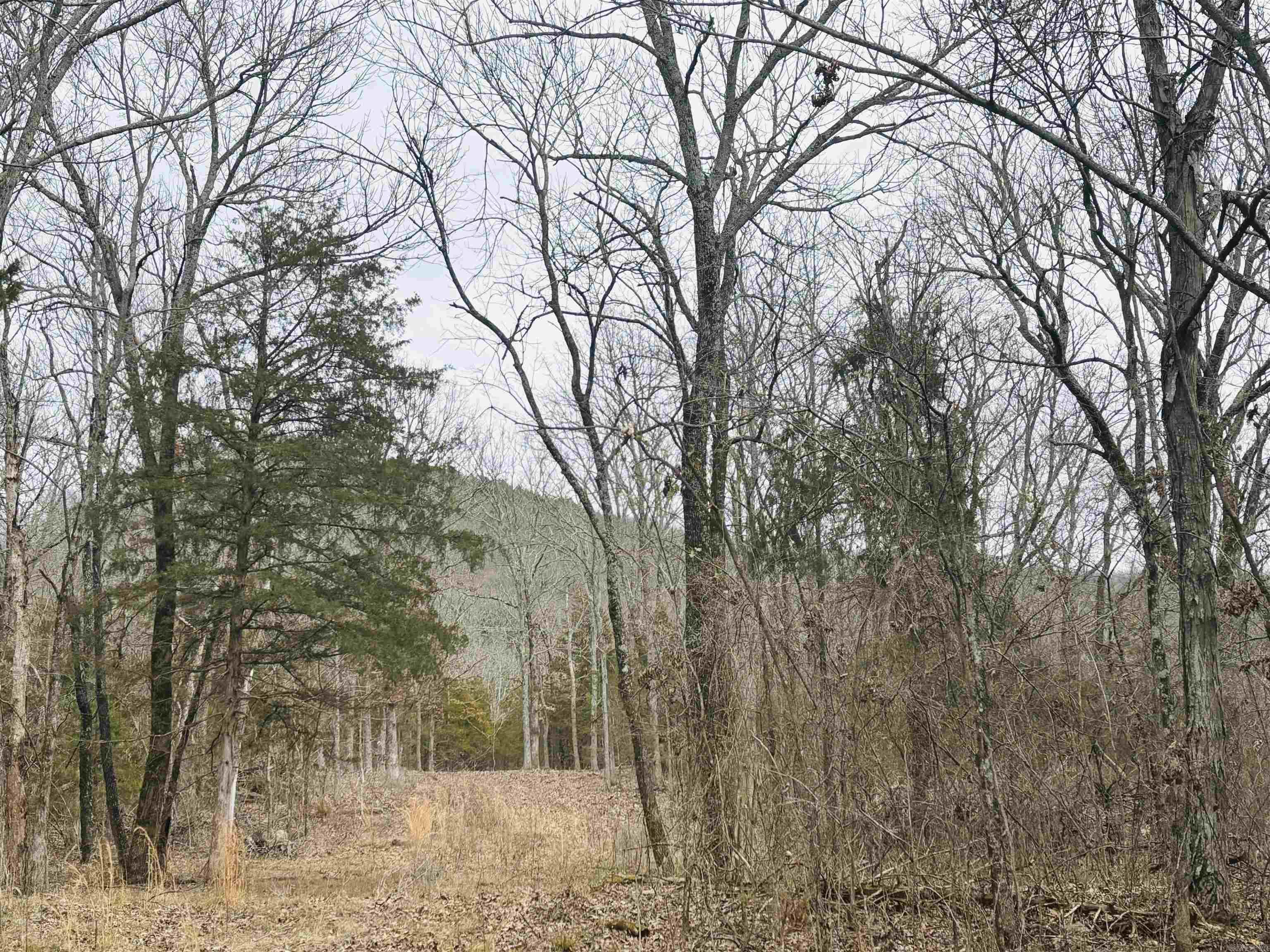 509  Range (w/Hwy 65 frontage acres)  Marshall, AR