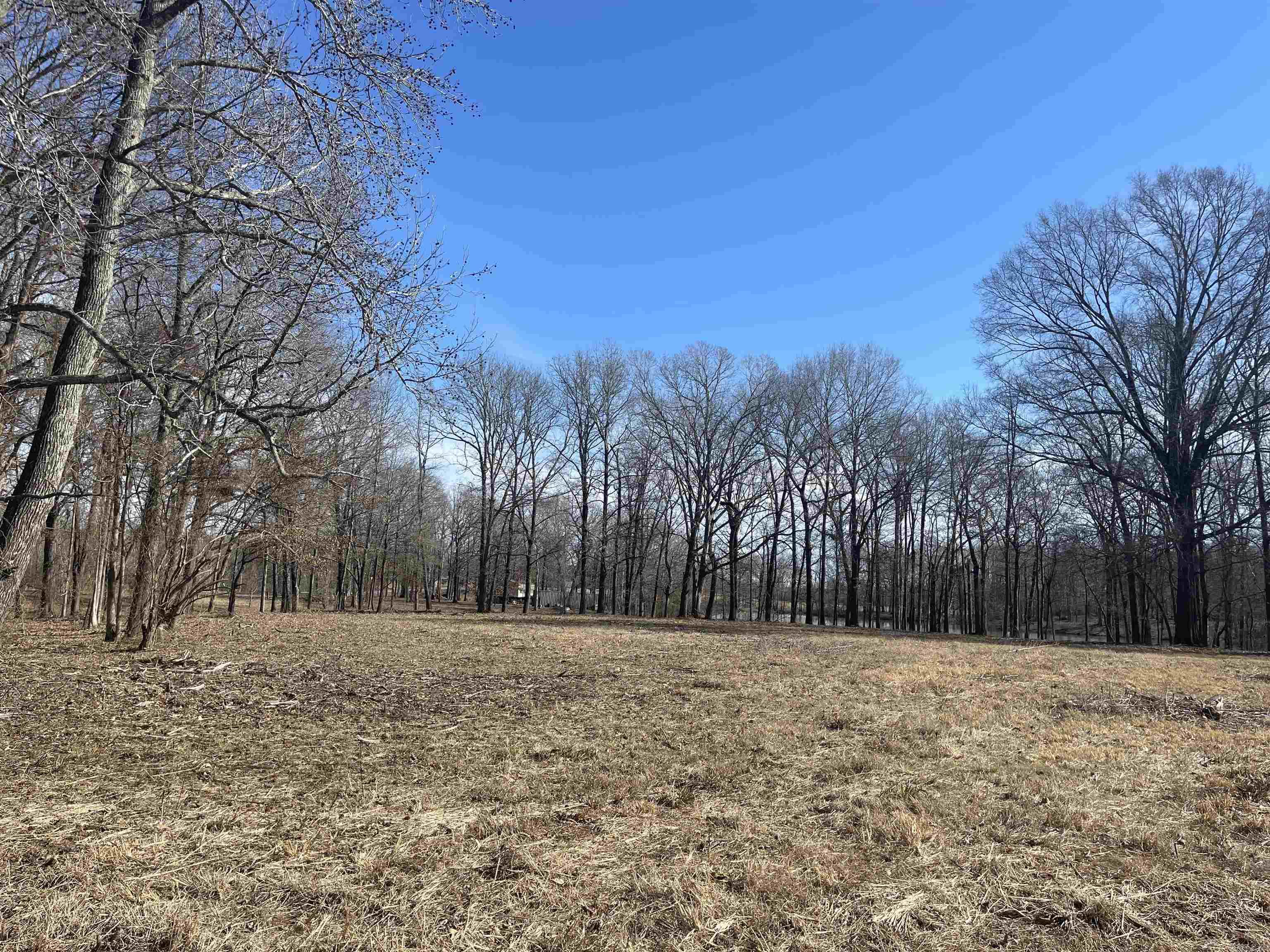 000  Brown Acres Rd  Des Arc, AR