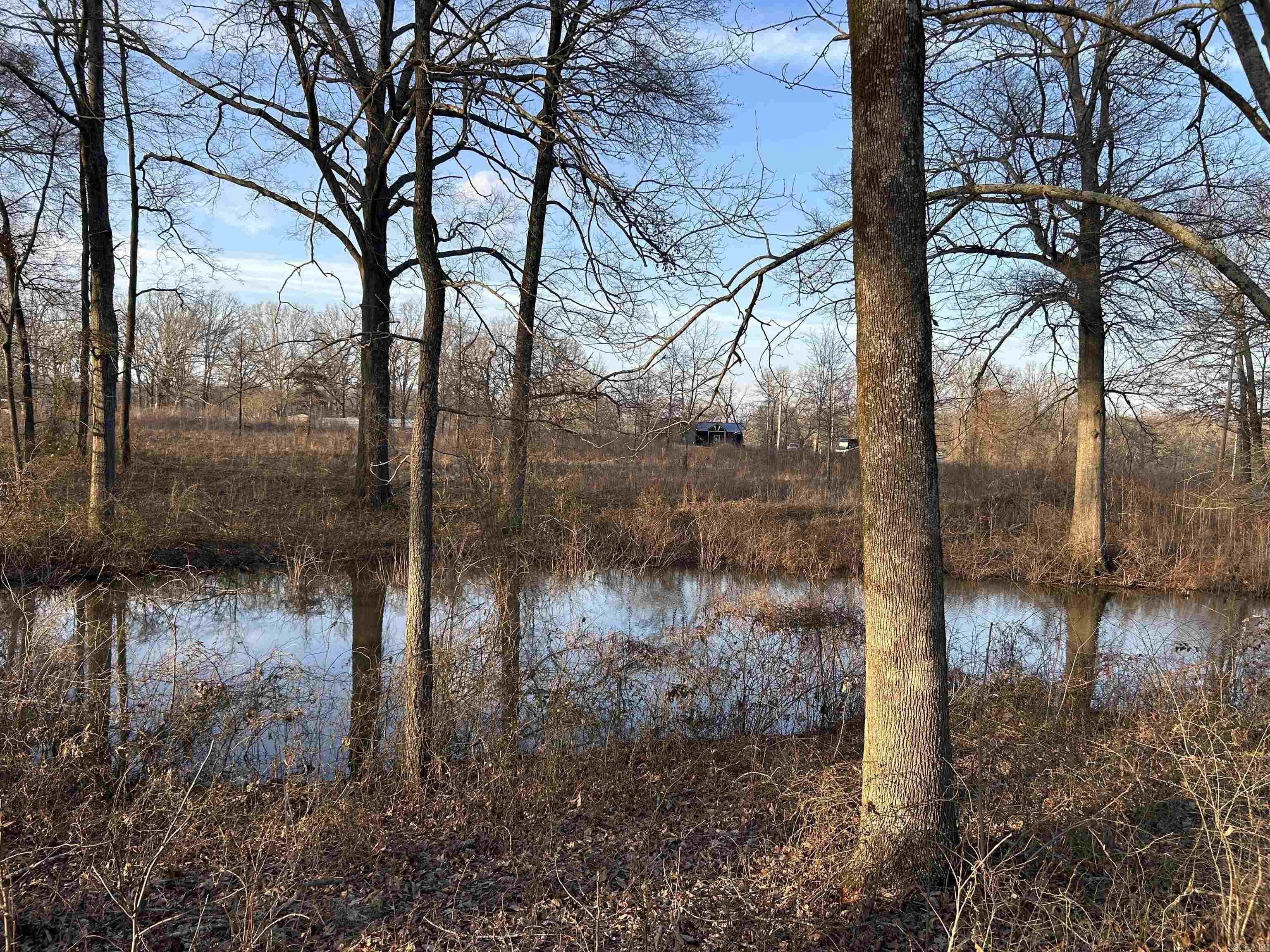 000  Brown Acres Rd  Des Arc, AR