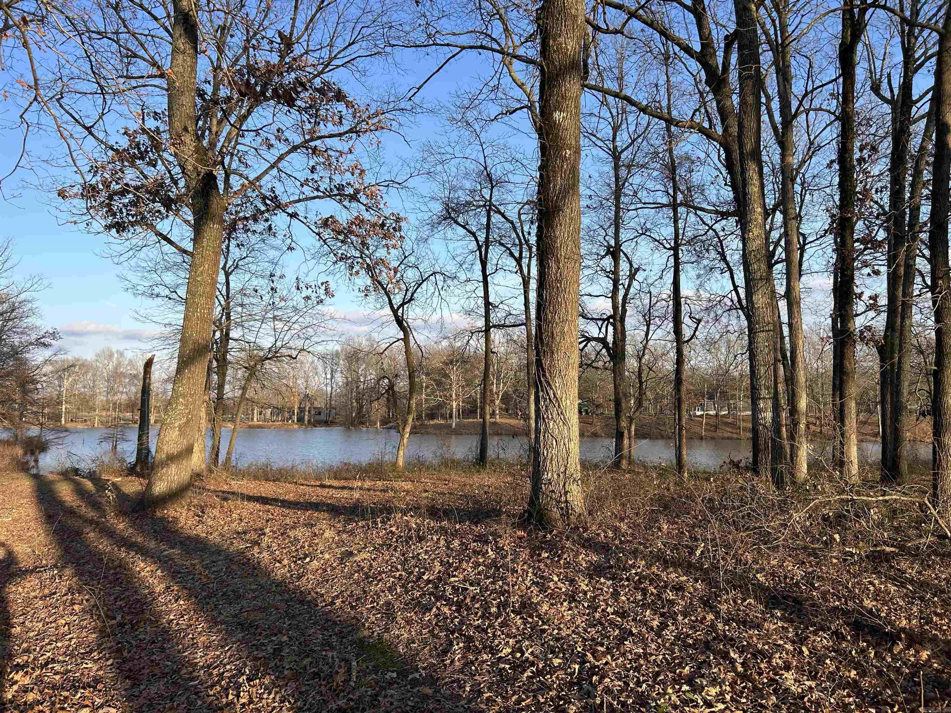 000  Brown Acres Rd  Des Arc, AR