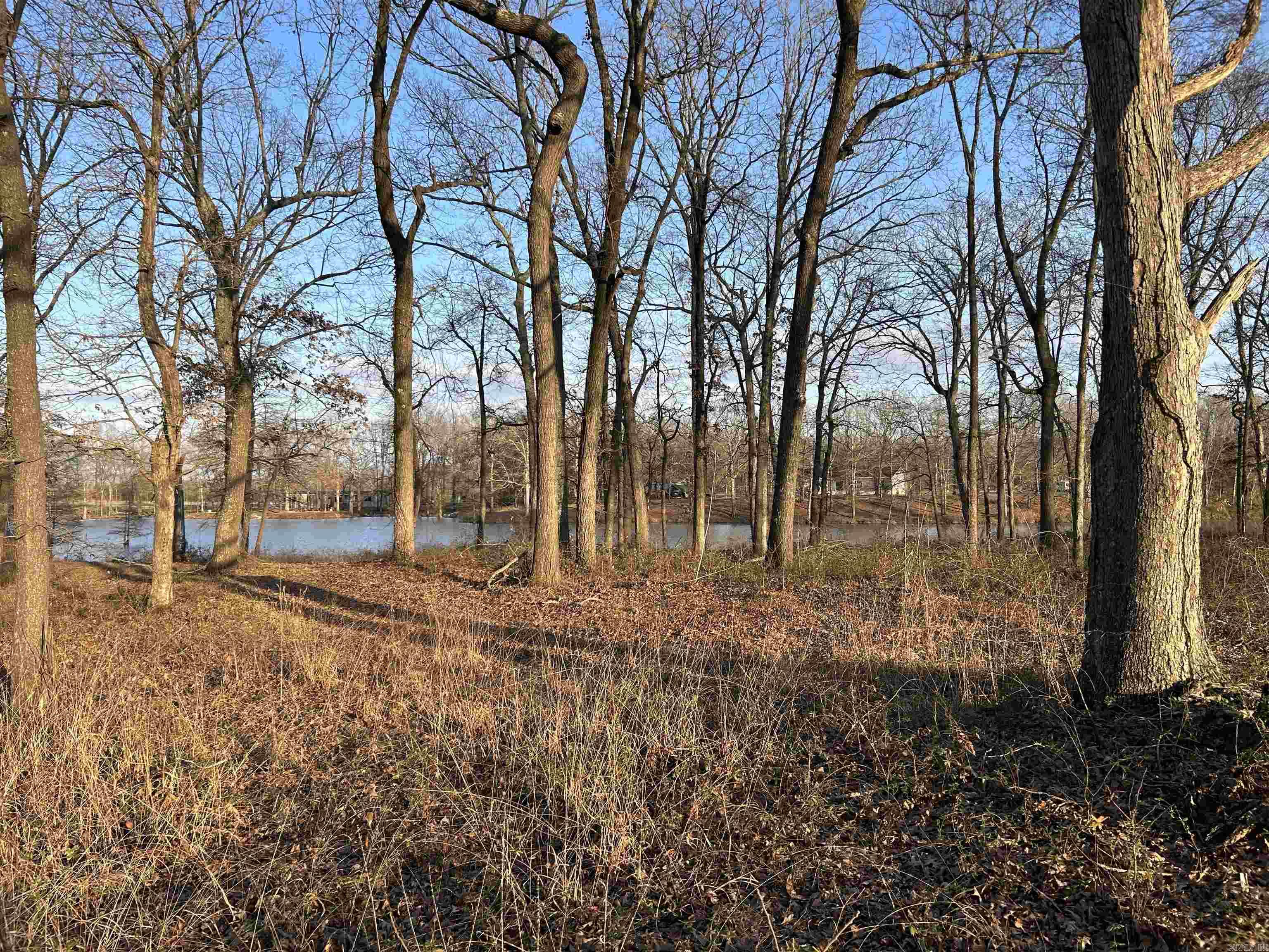 000  Brown Acres Rd  Des Arc, AR