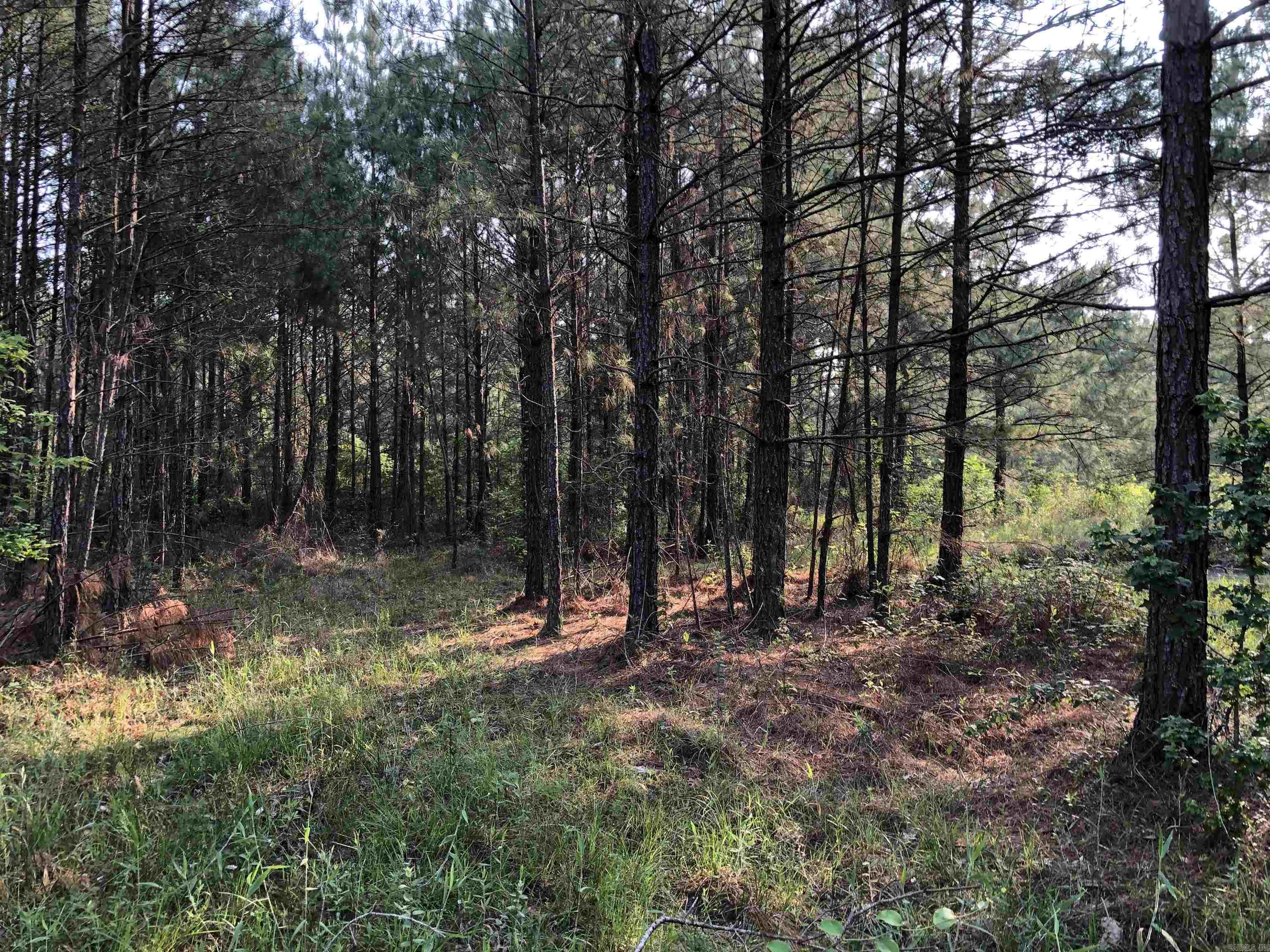 1  B Dunn Rd  Hampton, AR