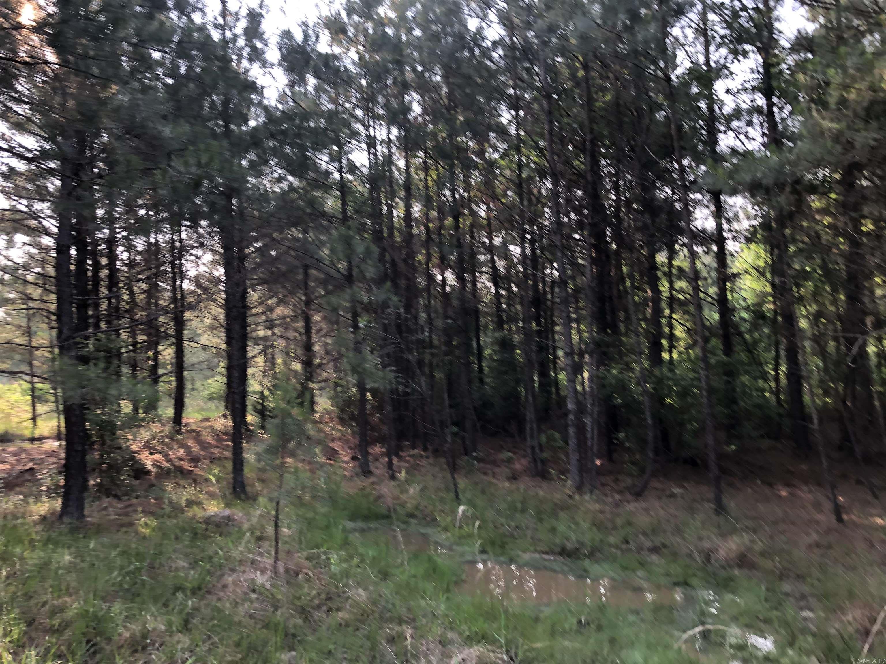 1  B Dunn Rd  Hampton, AR