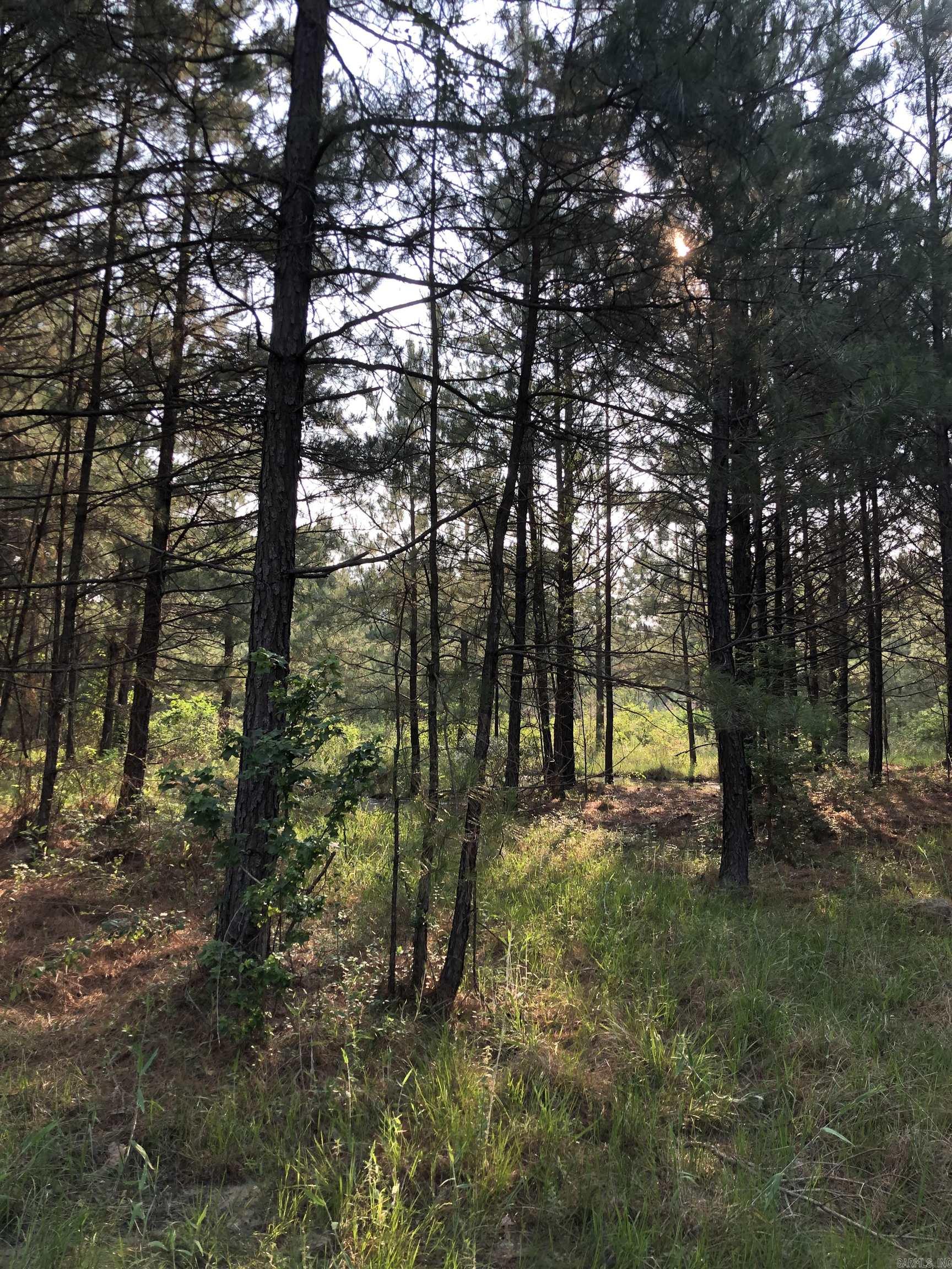 1  B Dunn Rd  Hampton, AR