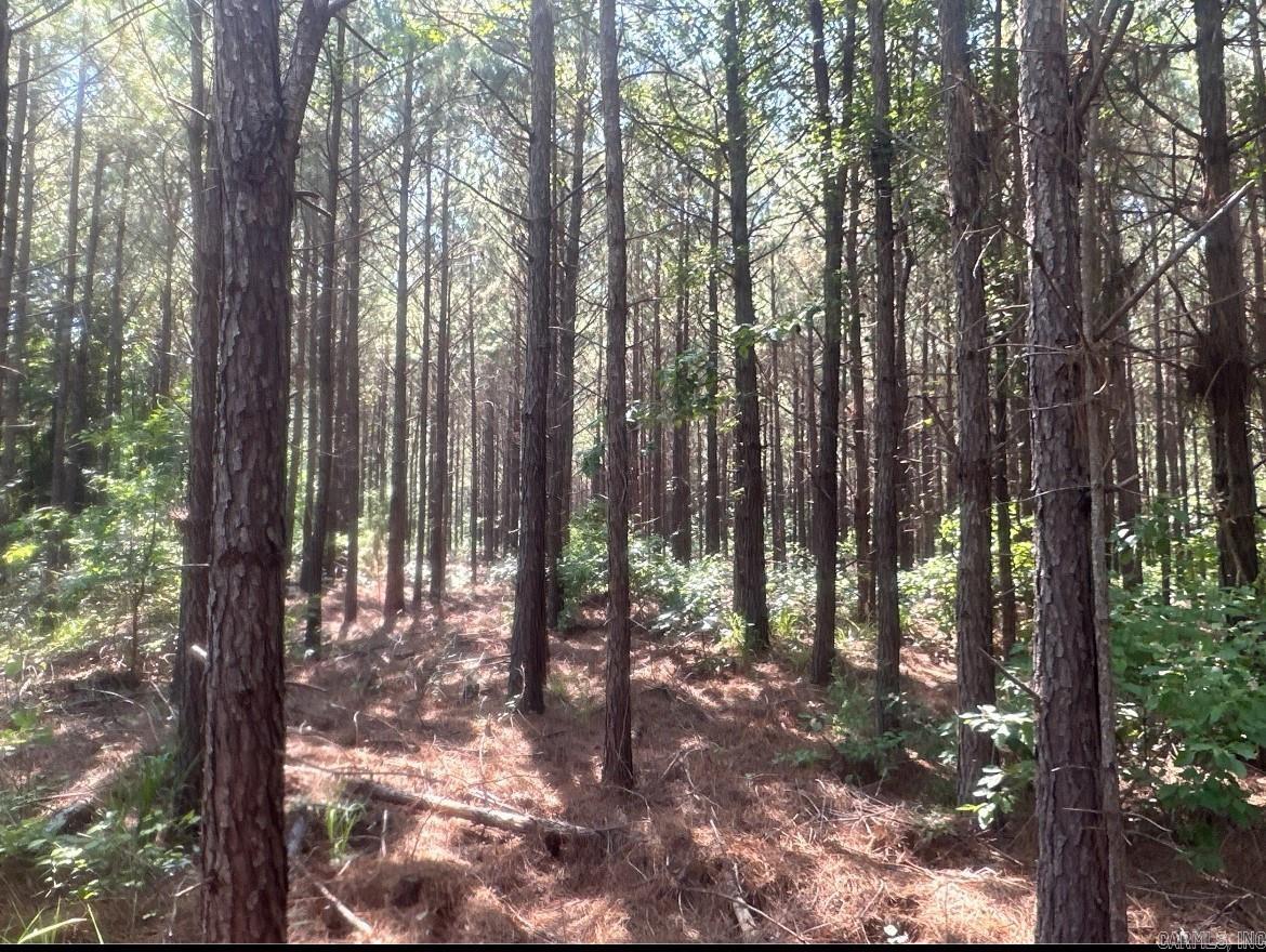 1  Columbia Rd 34  Magnolia, AR