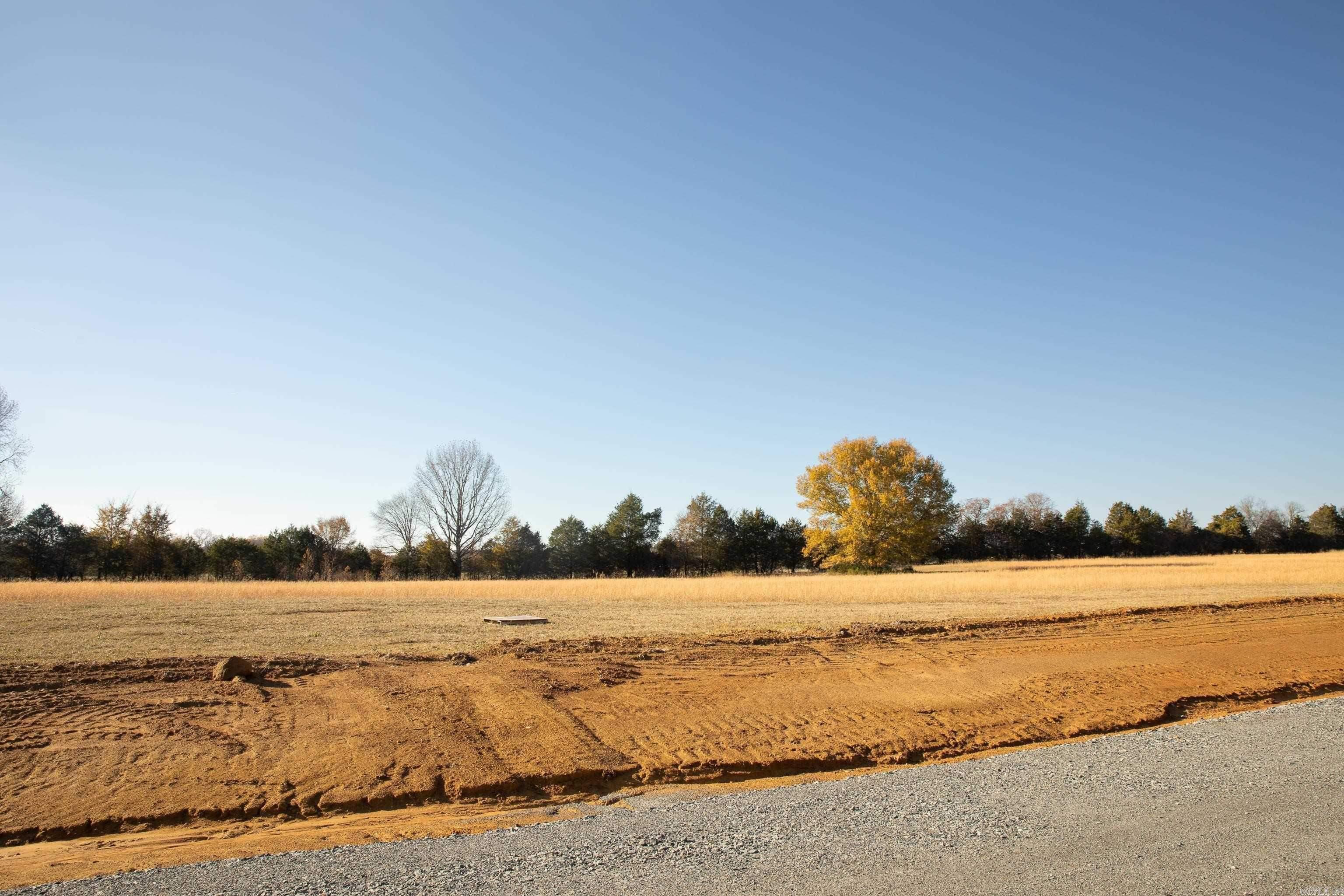6  Pinetree  Greenbrier, AR