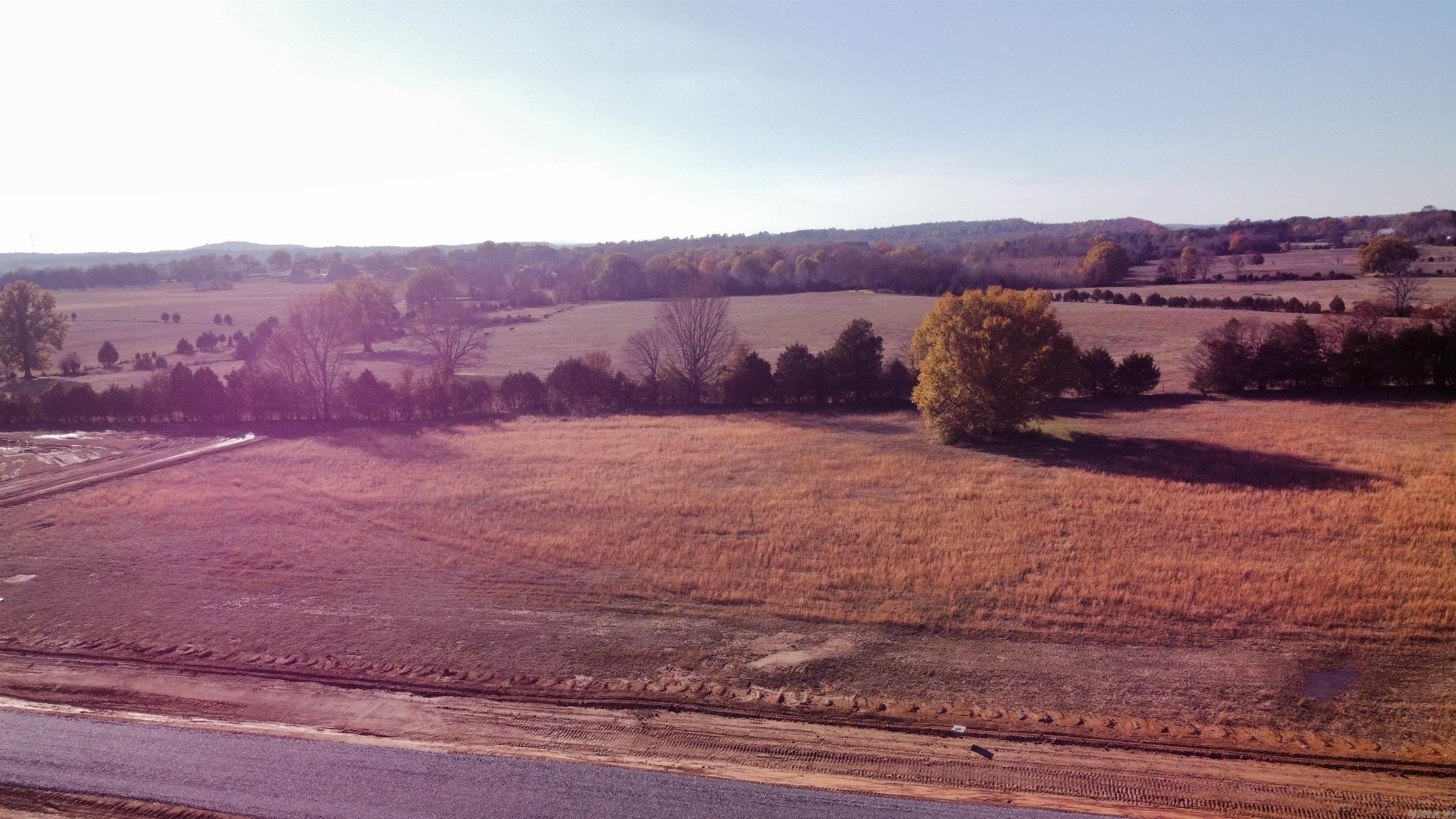 6  Pinetree  Greenbrier, AR