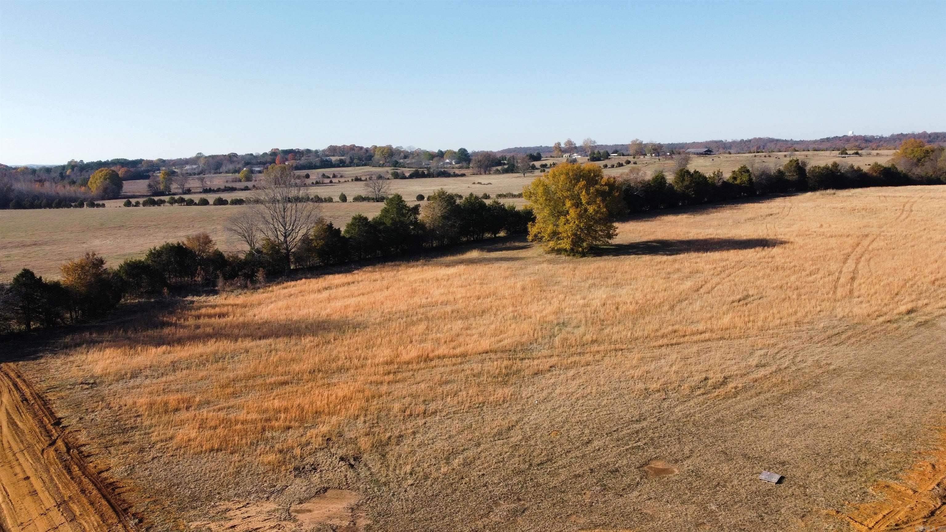6  Pinetree  Greenbrier, AR