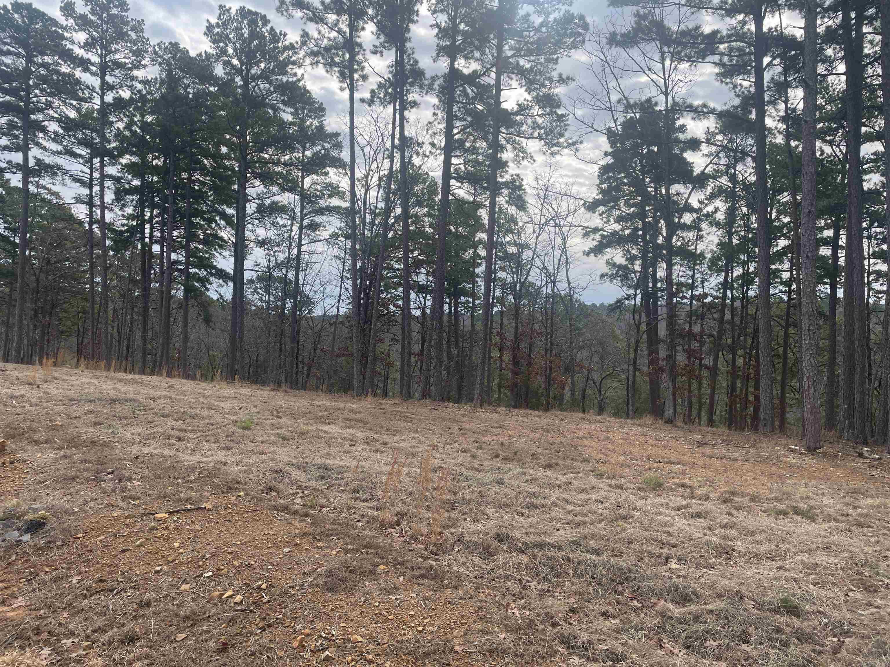 3970  Orchard Heights  Conway, AR