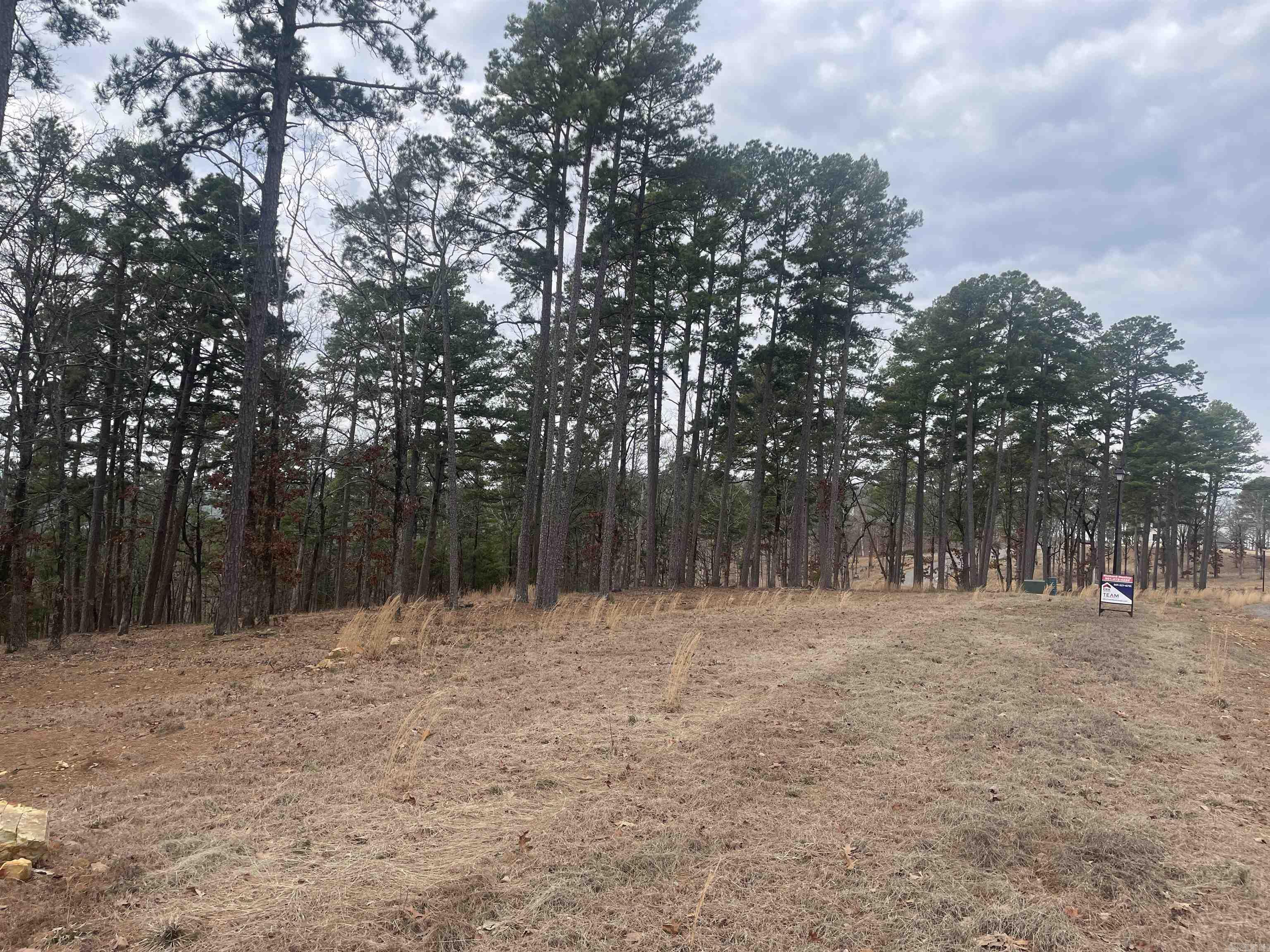 3970  Orchard Heights  Conway, AR