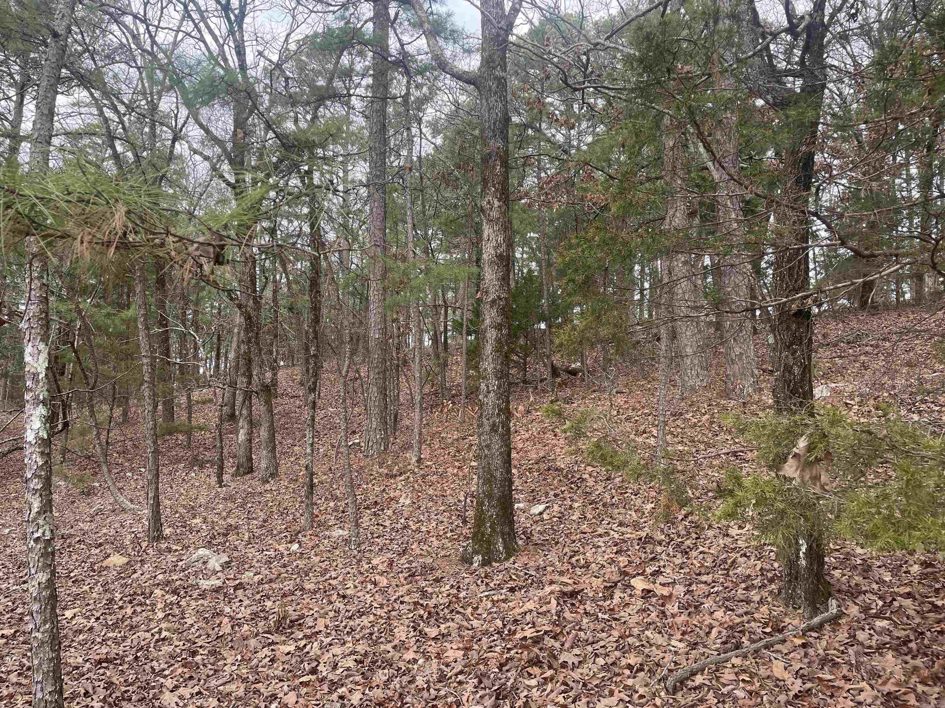 3970  Orchard Heights  Conway, AR
