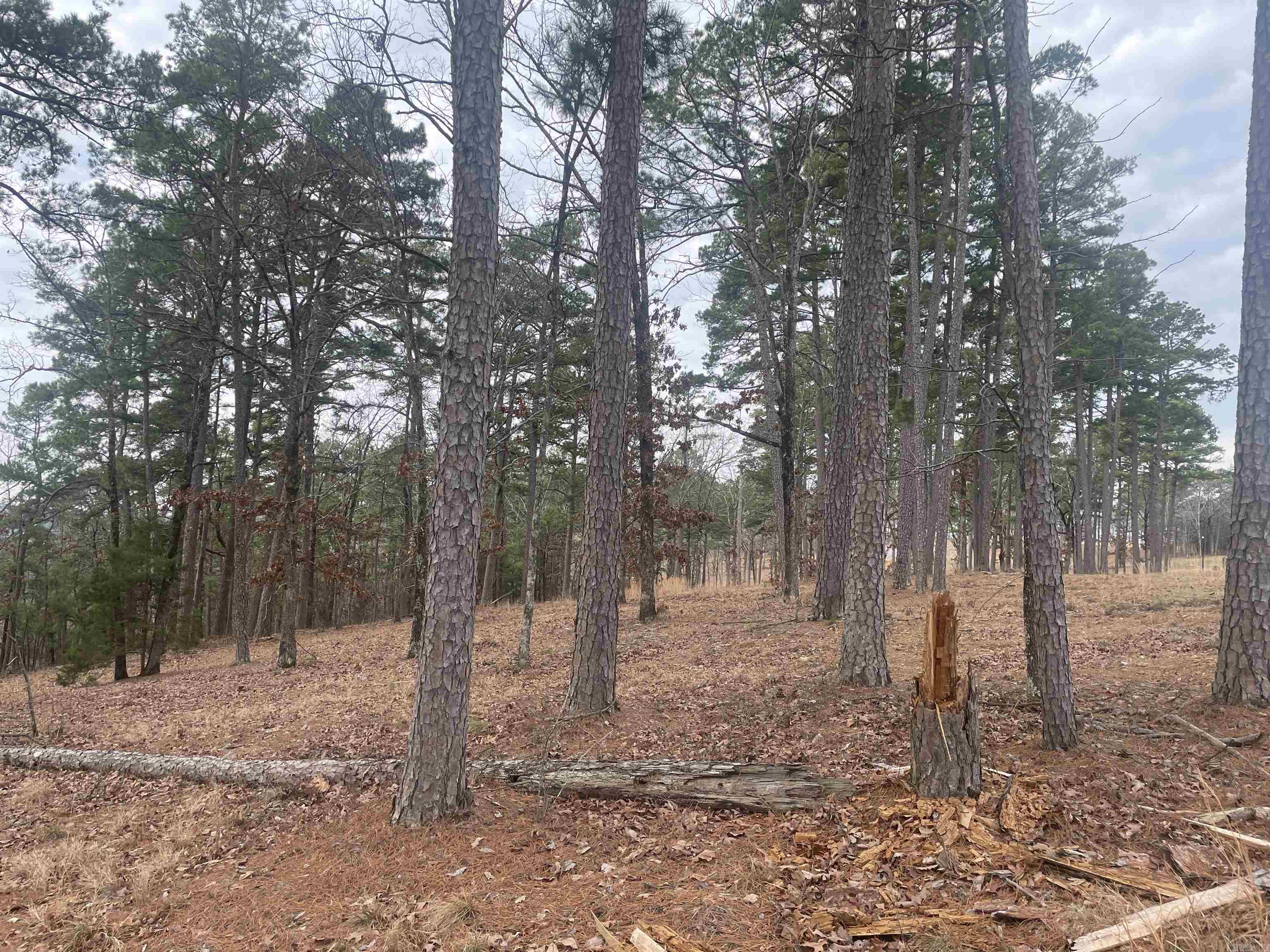 3970  Orchard Heights  Conway, AR