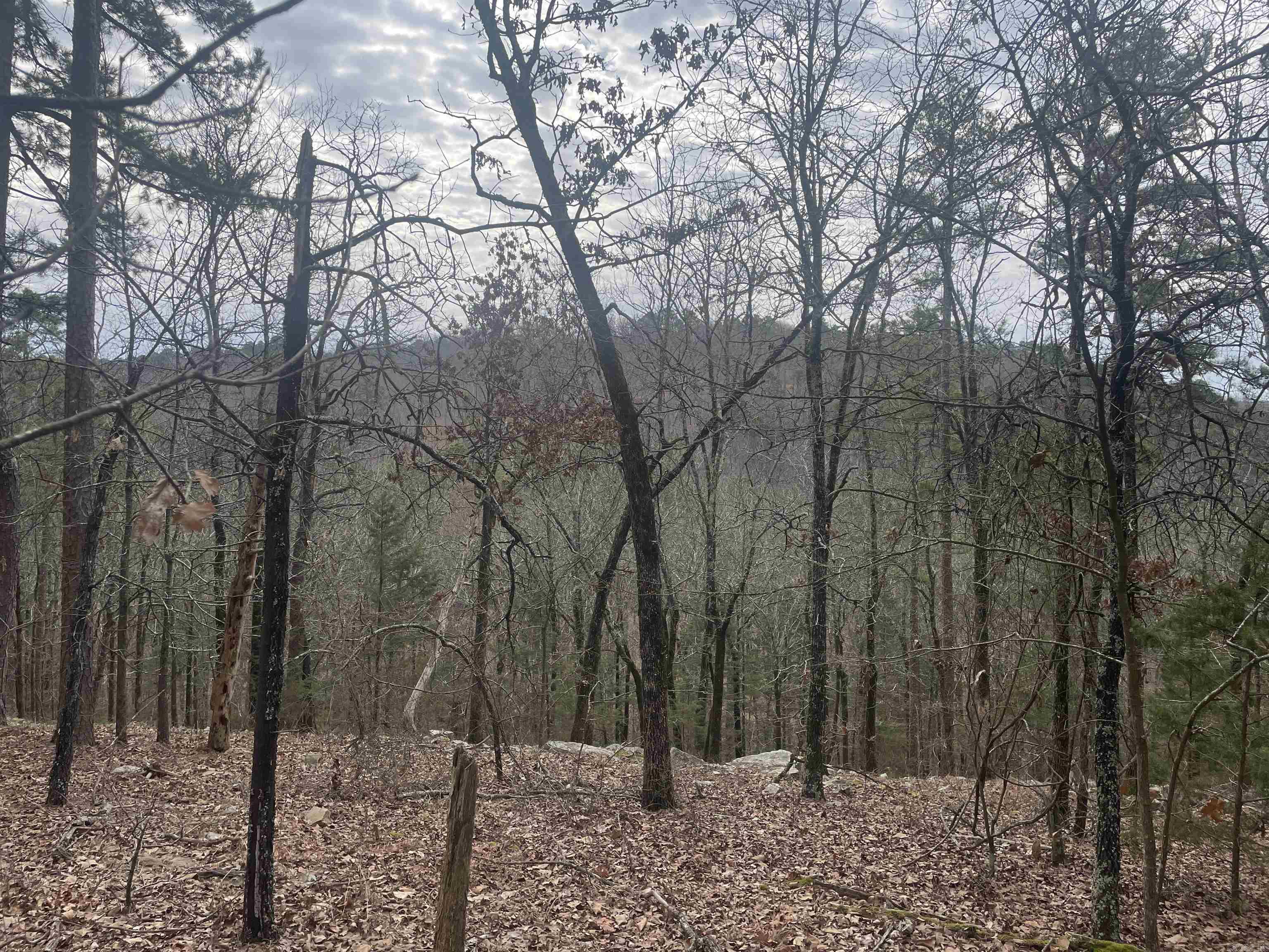 3970  Orchard Heights  Conway, AR
