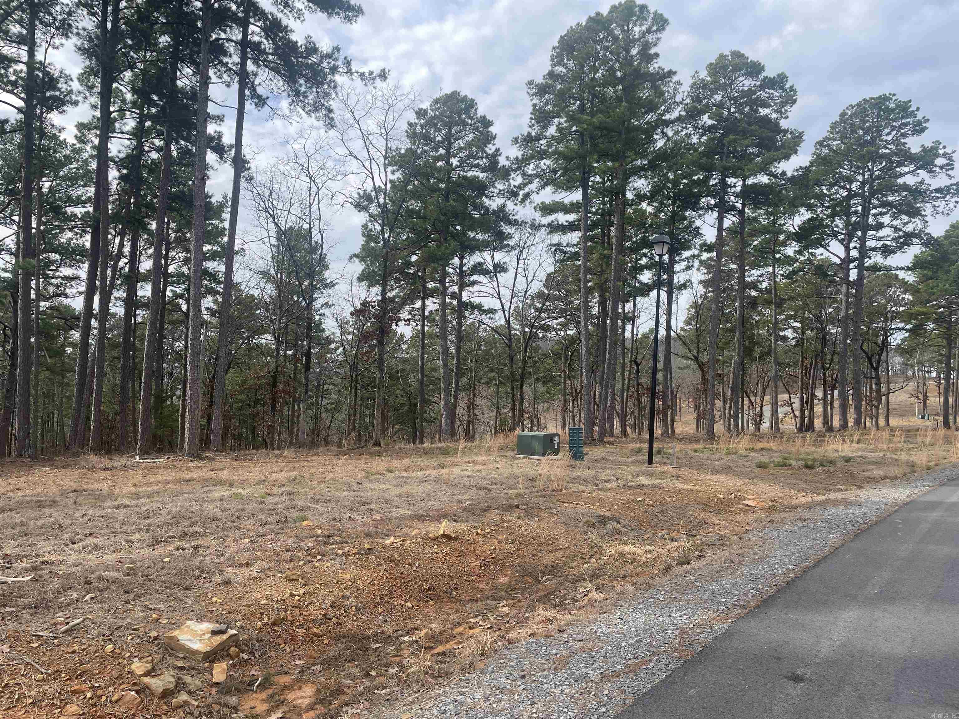 3970  Orchard Heights  Conway, AR