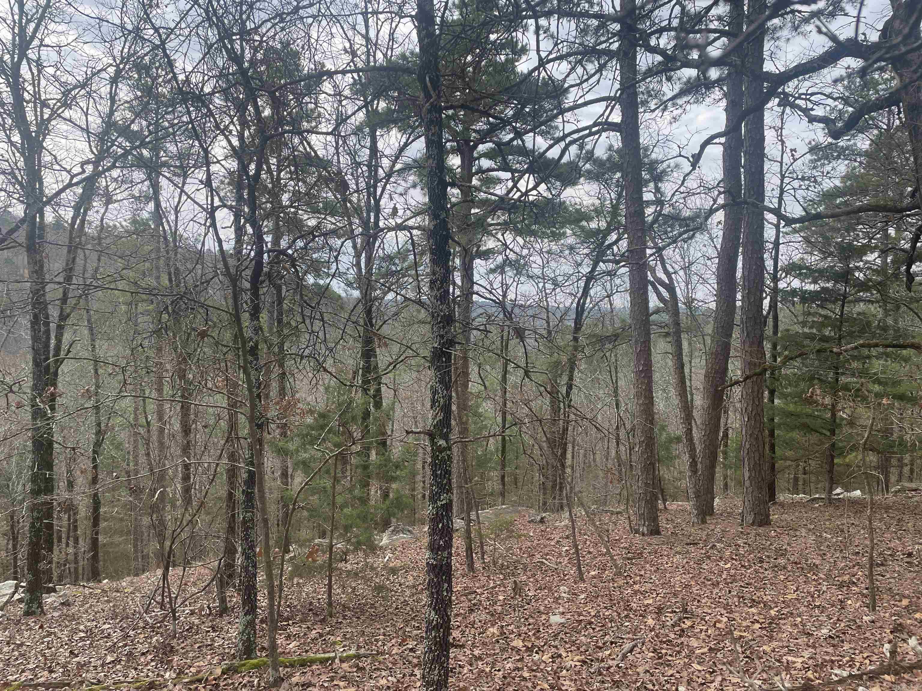 3970  Orchard Heights  Conway, AR