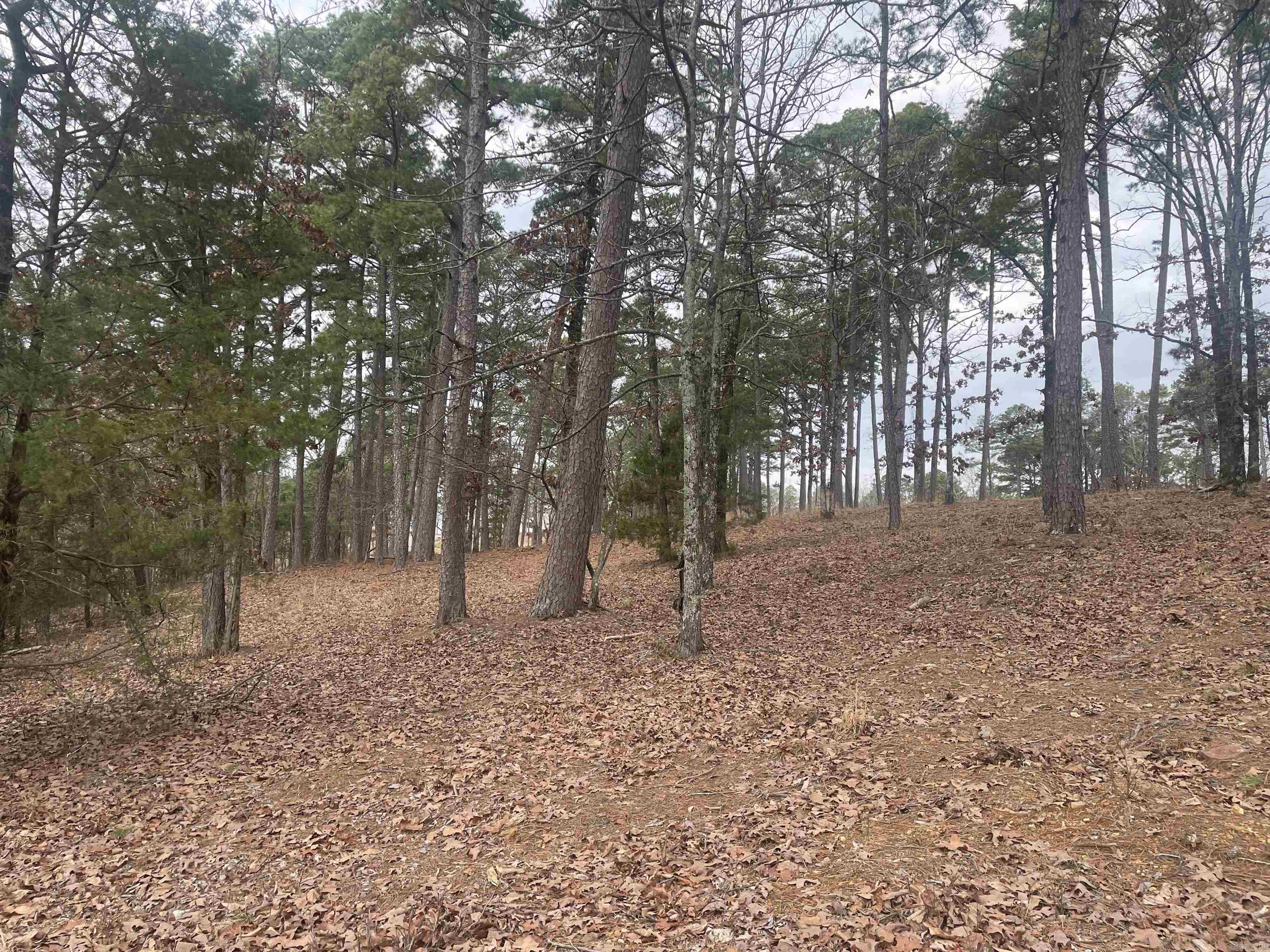 3970  Orchard Heights  Conway, AR