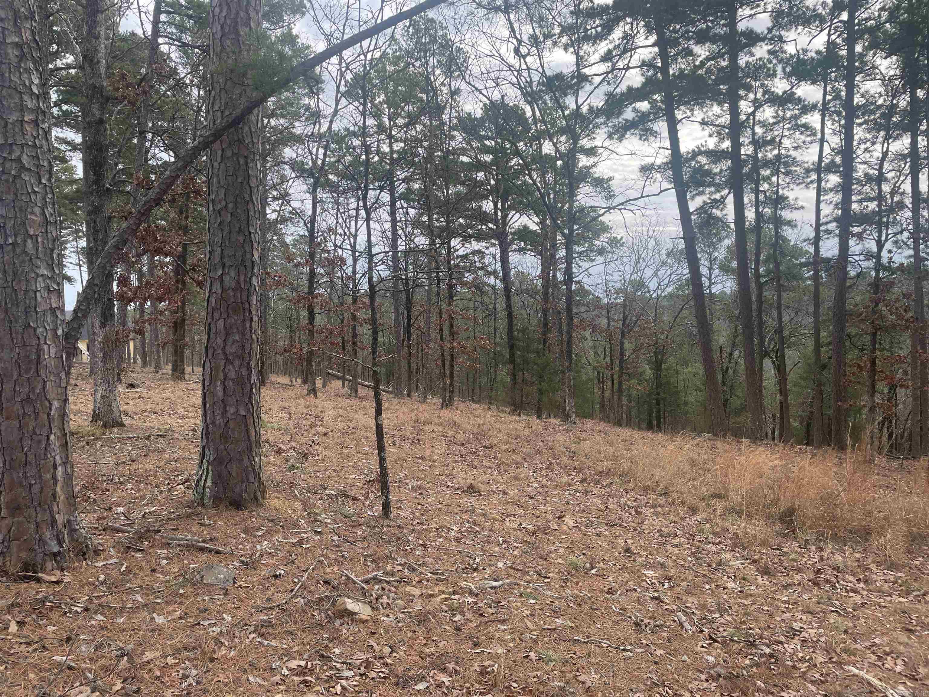 3970  Orchard Heights  Conway, AR