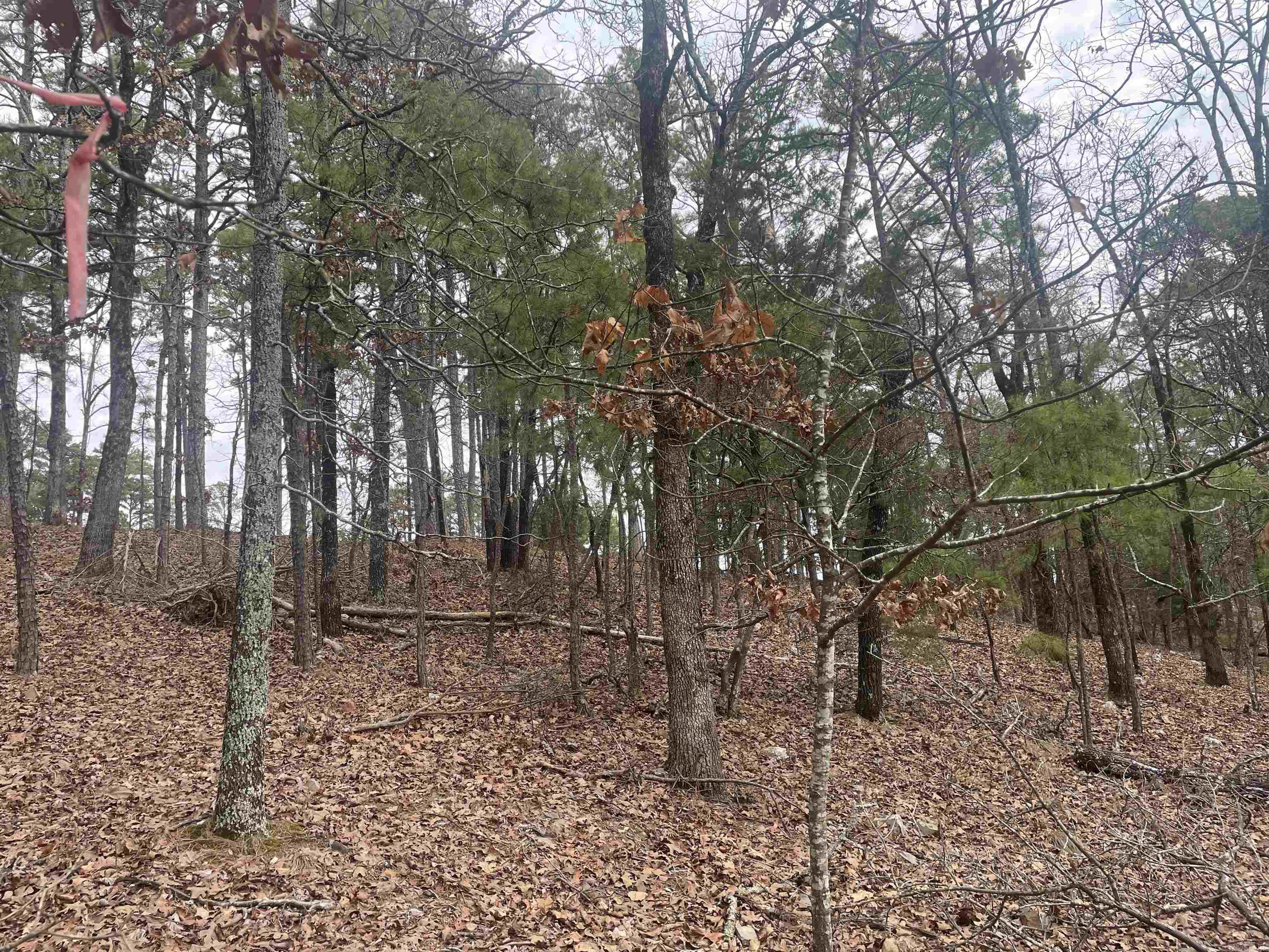 3970  Orchard Heights  Conway, AR