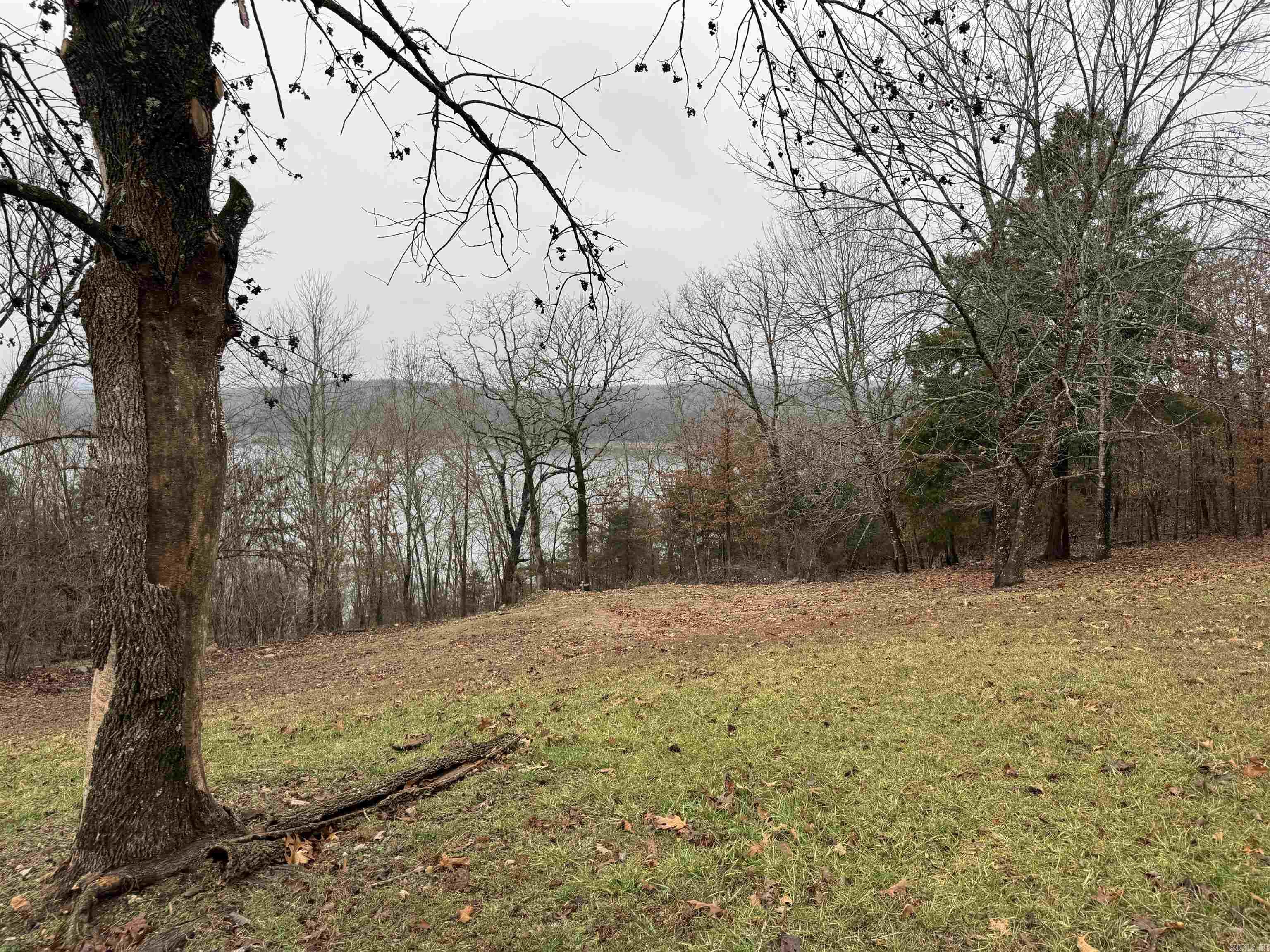 20725  Horseshoe Bend RD  Lead Hill, AR