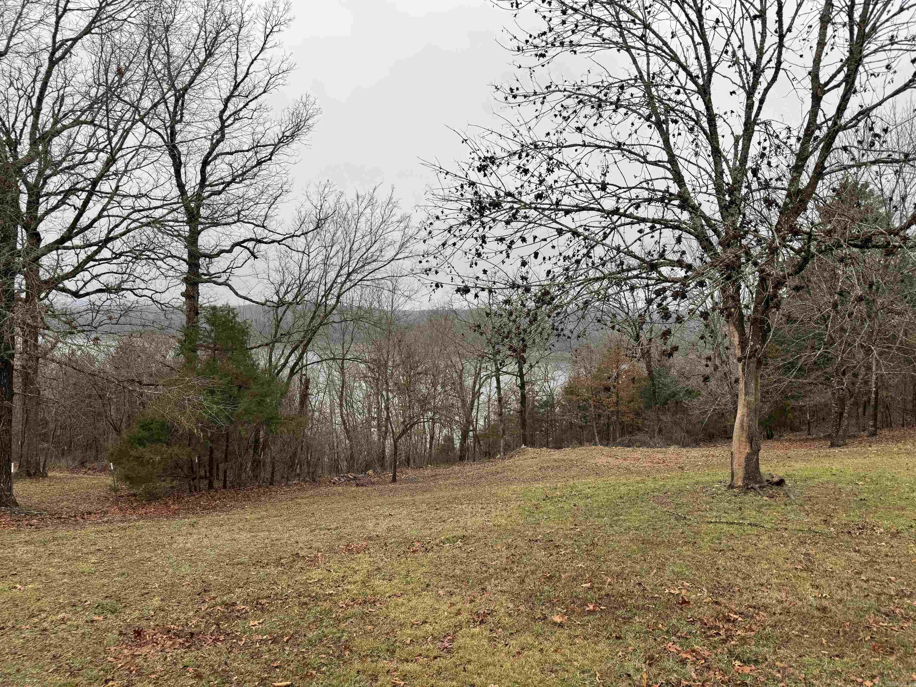 20725  Horseshoe Bend RD  Lead Hill, AR
