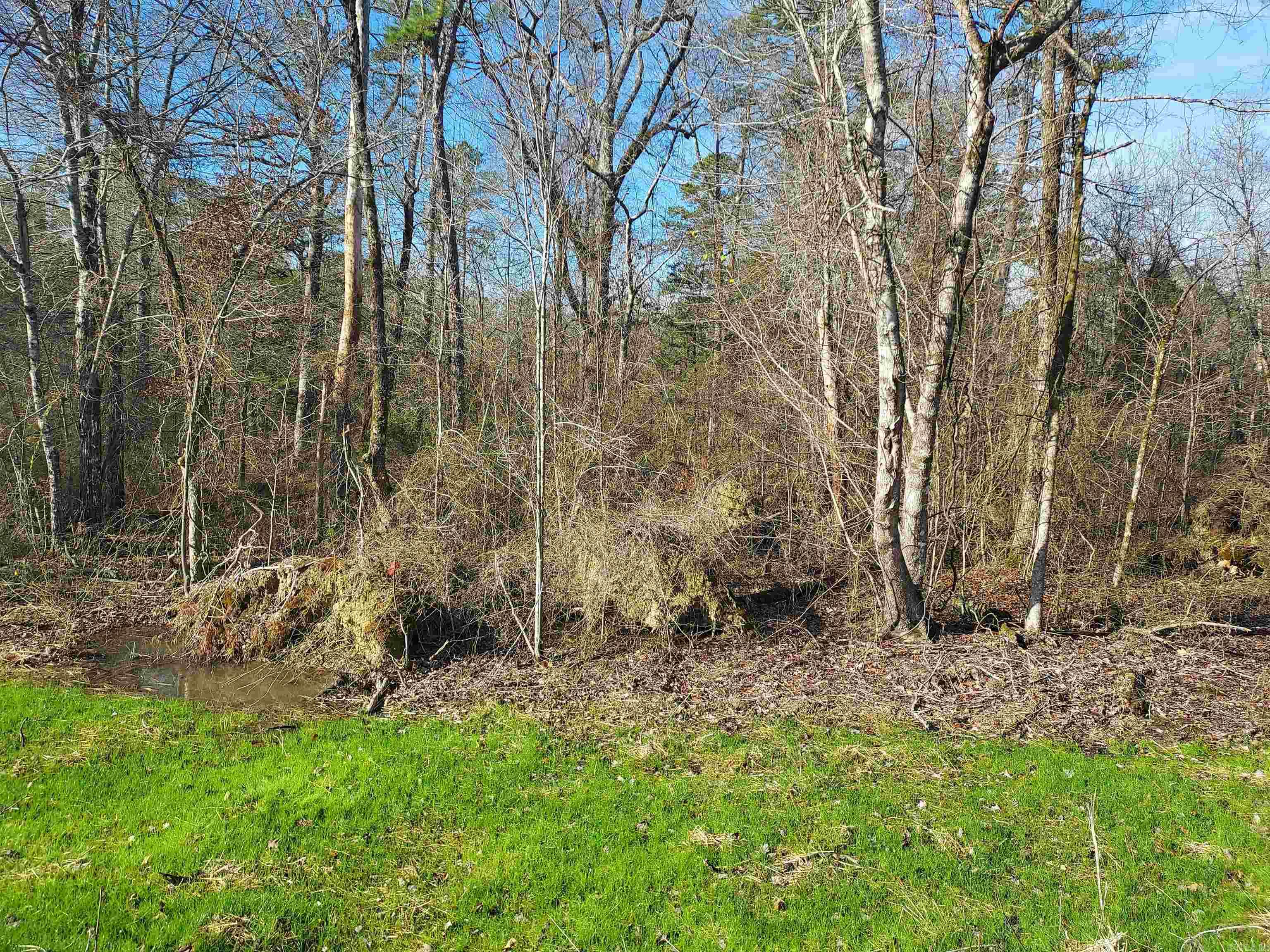 14  Levantino  Hot Springs Village, AR