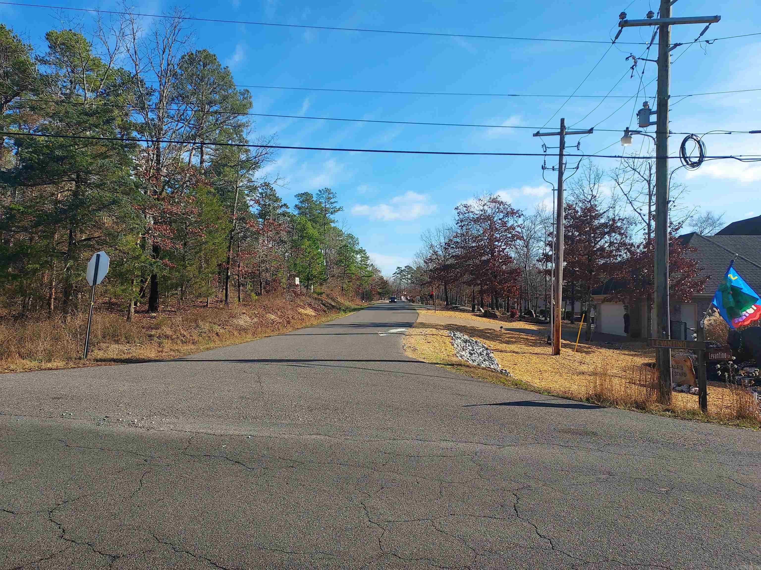 14  Levantino  Hot Springs Village, AR