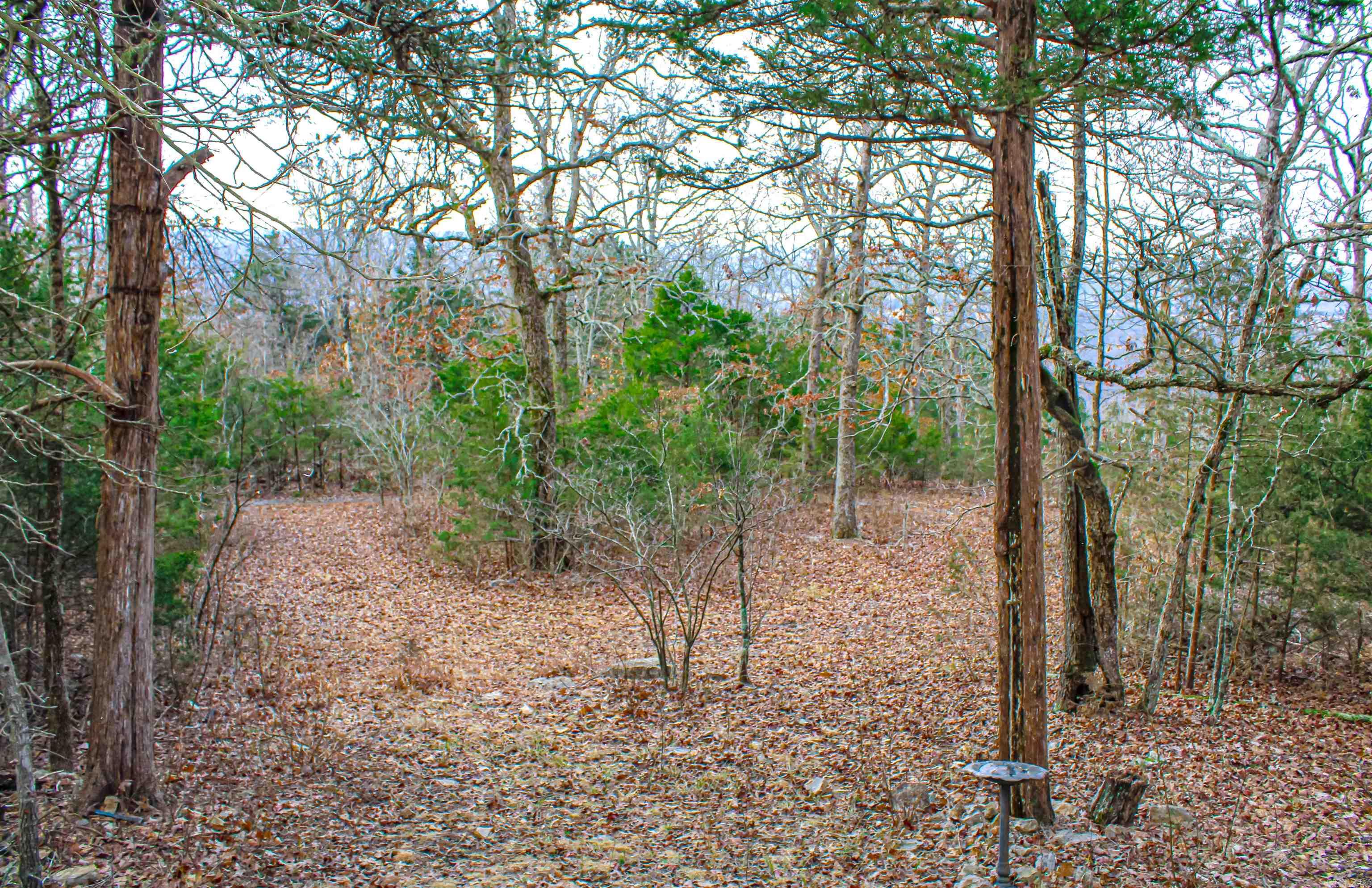 259  MC 3063  Yellville, AR