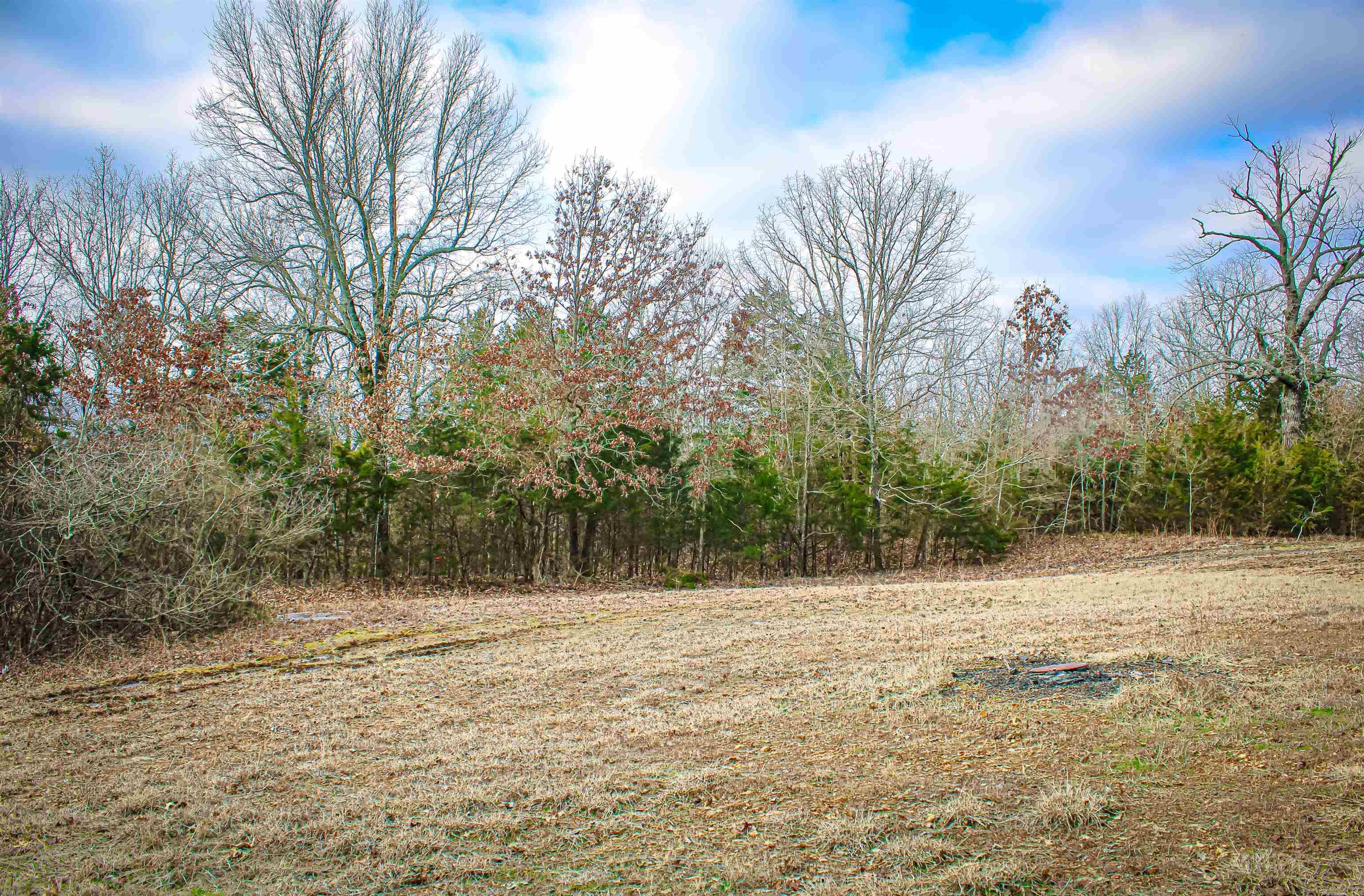 259  MC 3063  Yellville, AR
