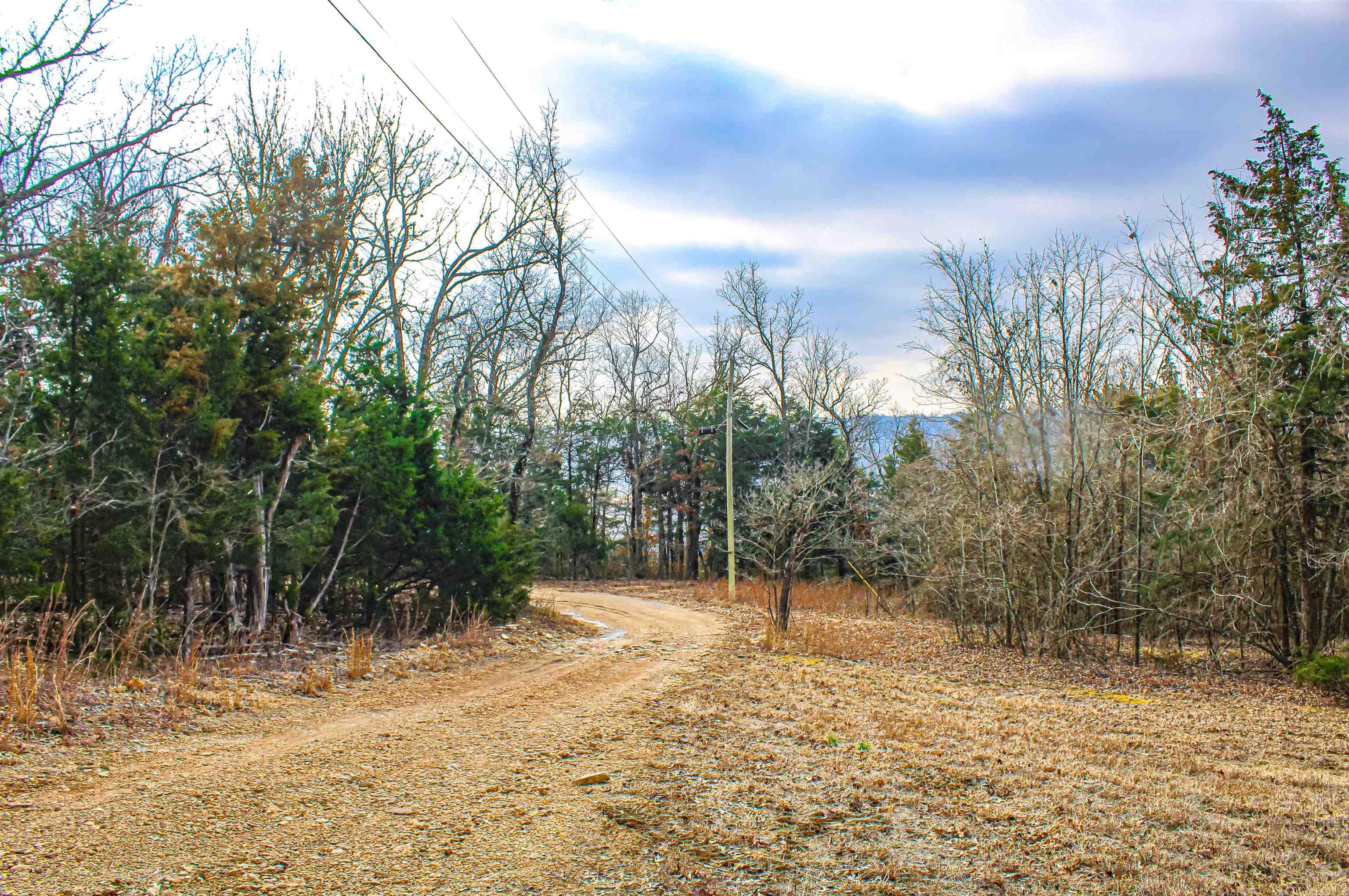 259  MC 3063  Yellville, AR