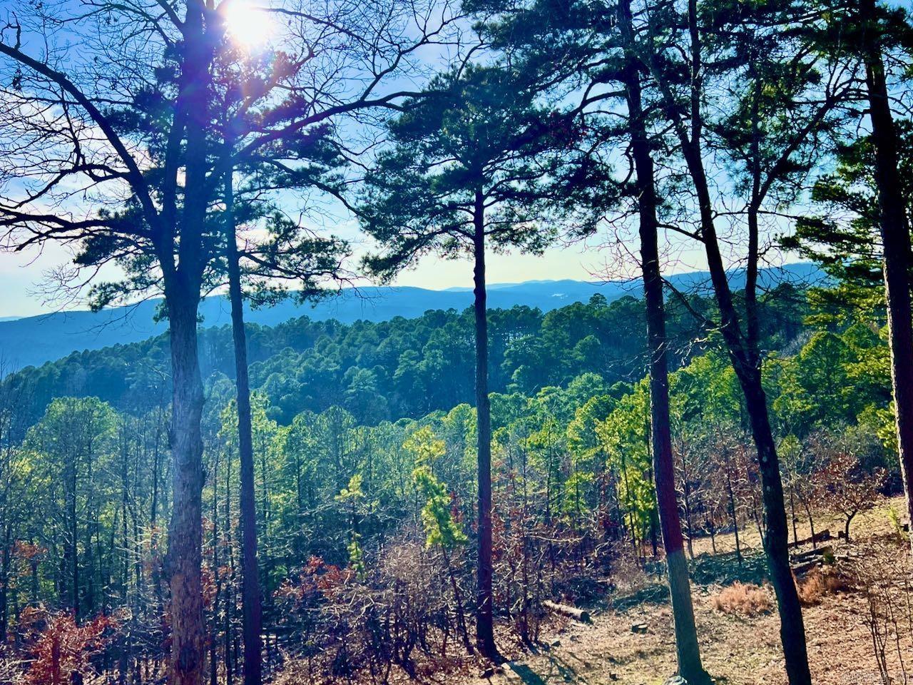 127  Mesero  Hot Springs Village, AR