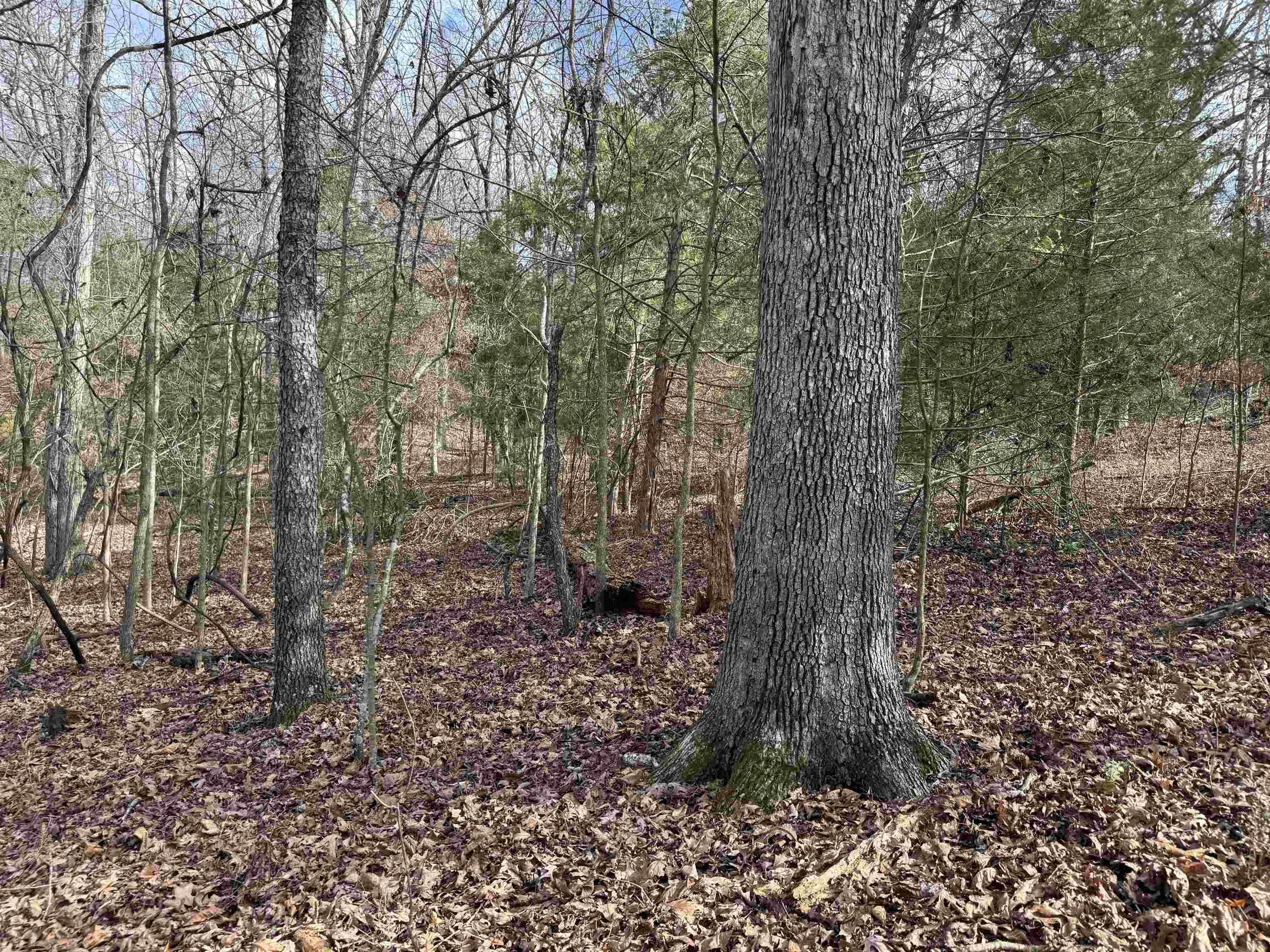 00  Alta Vista  Bull Shoals, AR