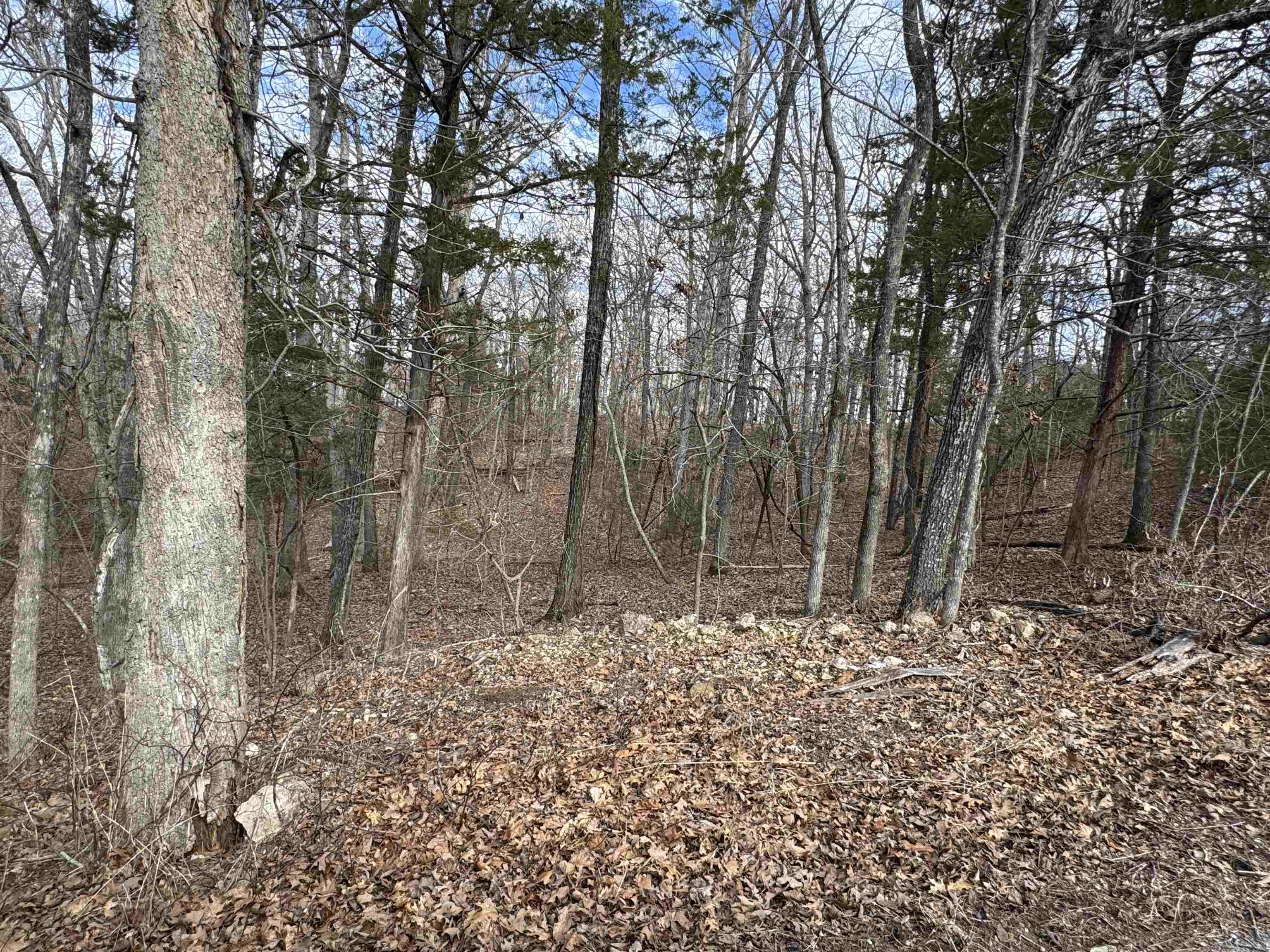 00  Alta Vista  Bull Shoals, AR