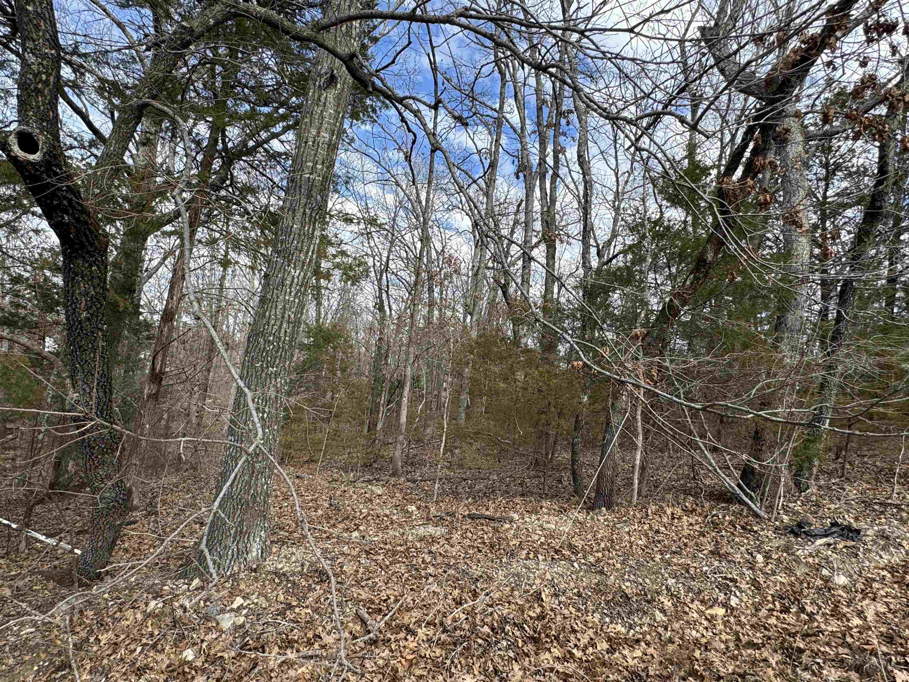 00  Alta Vista  Bull Shoals, AR