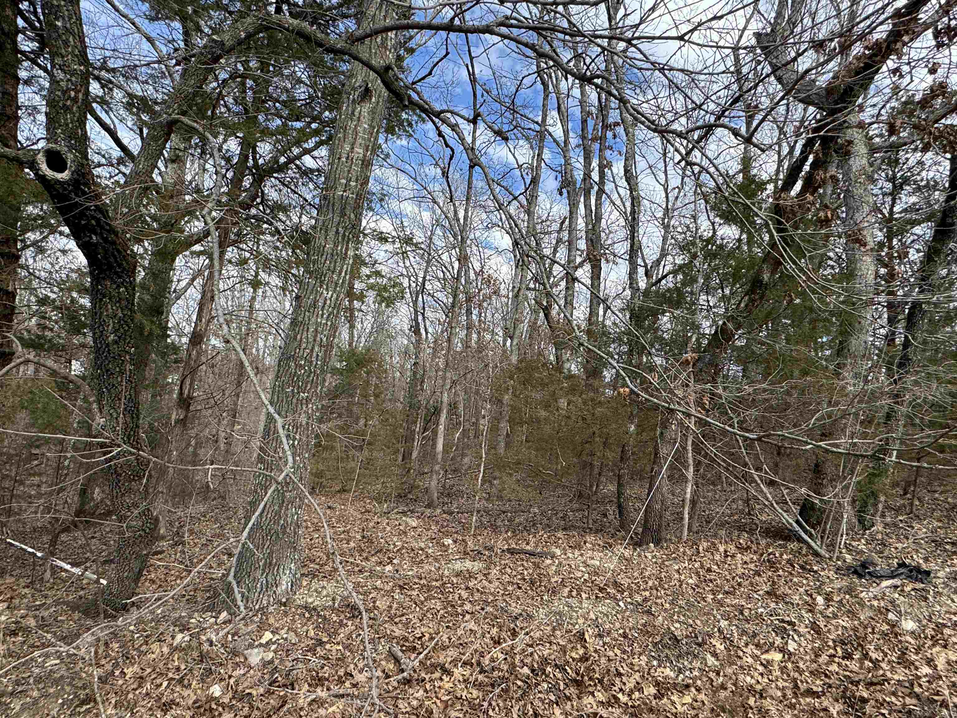 00  Alta Vista  Bull Shoals, AR