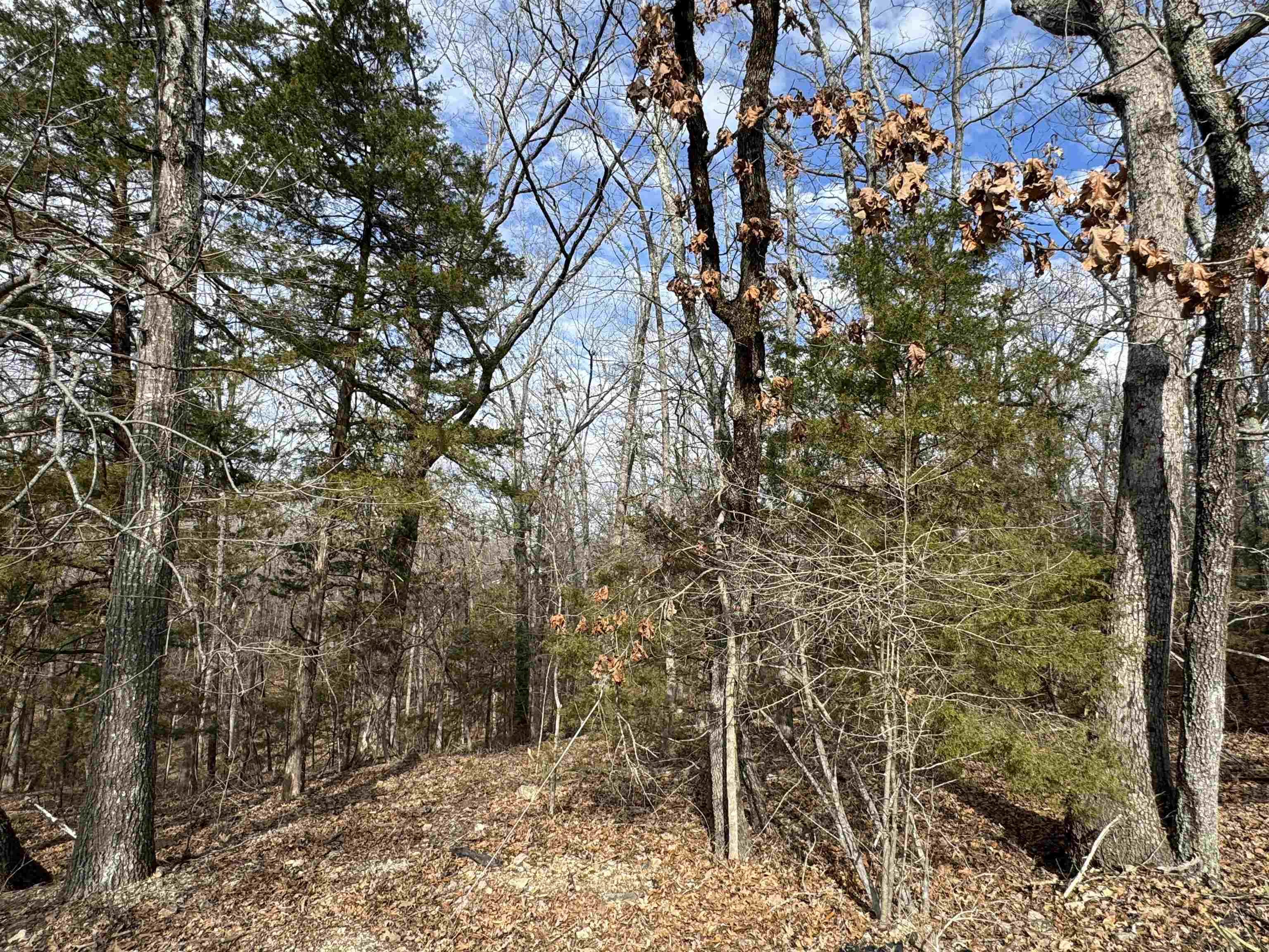 00  Alta Vista  Bull Shoals, AR