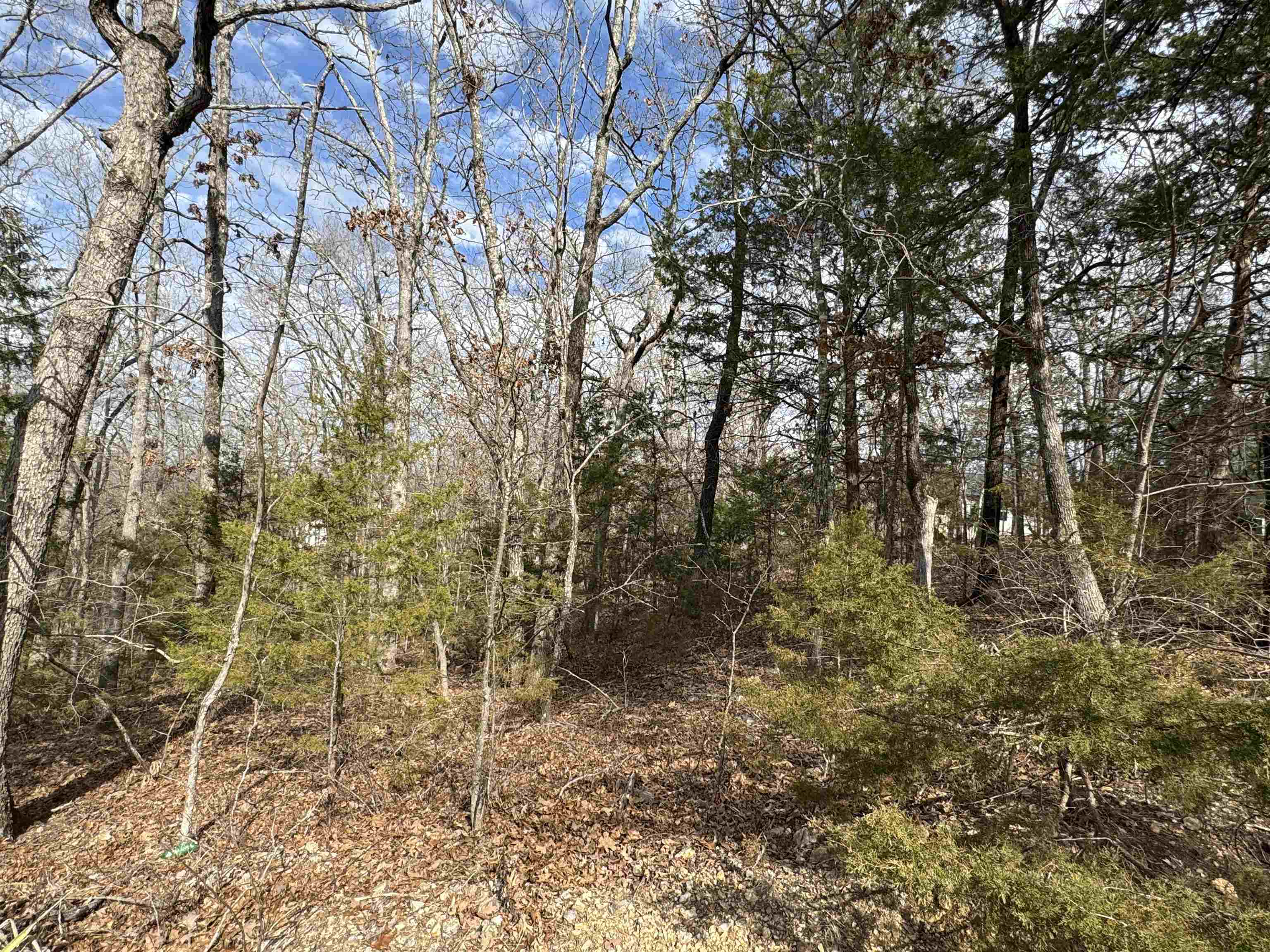 00  Alta Vista  Bull Shoals, AR