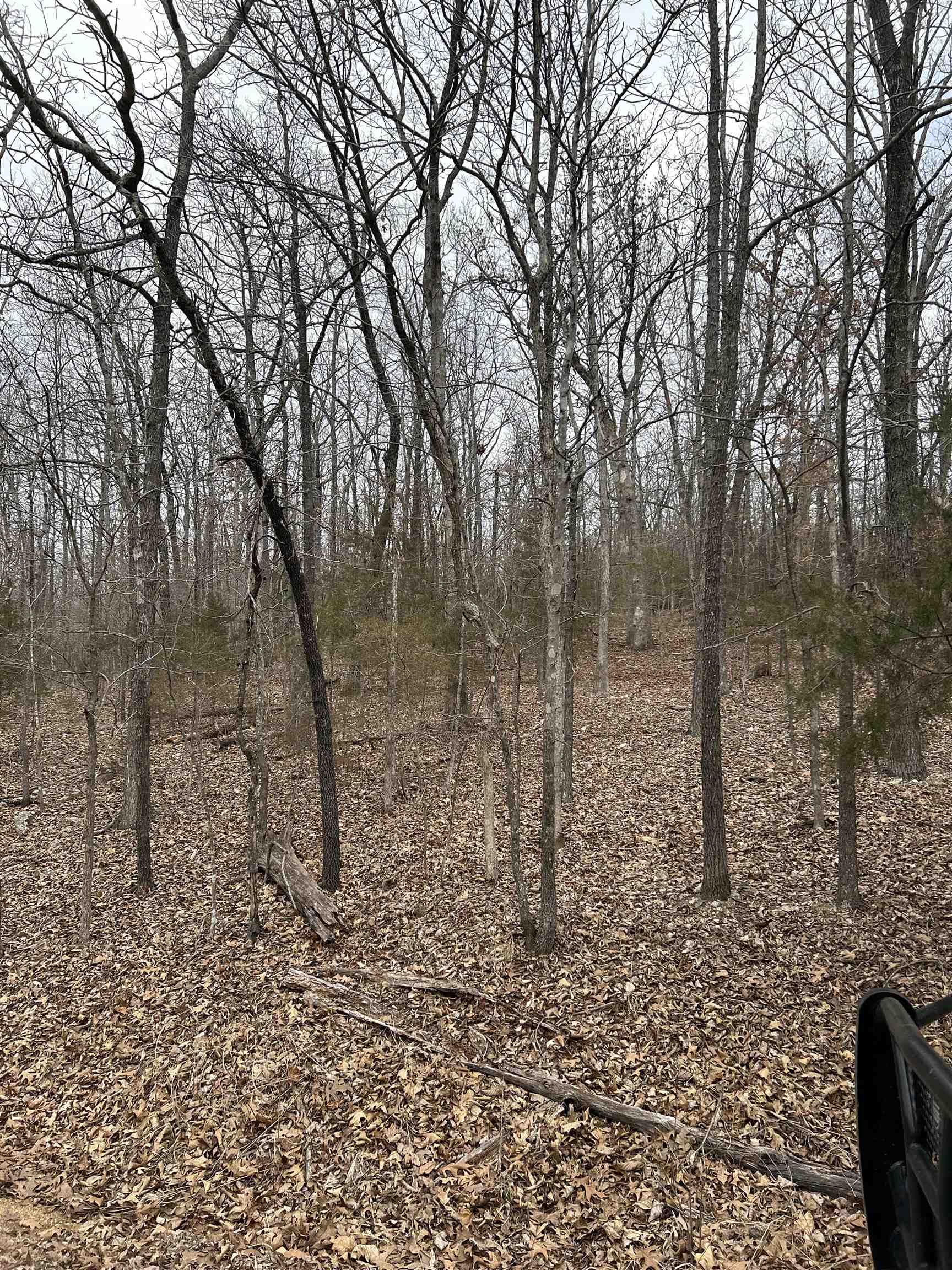 lot 12 Blk 2  Medicine Lodge  Ozark Acres, AR