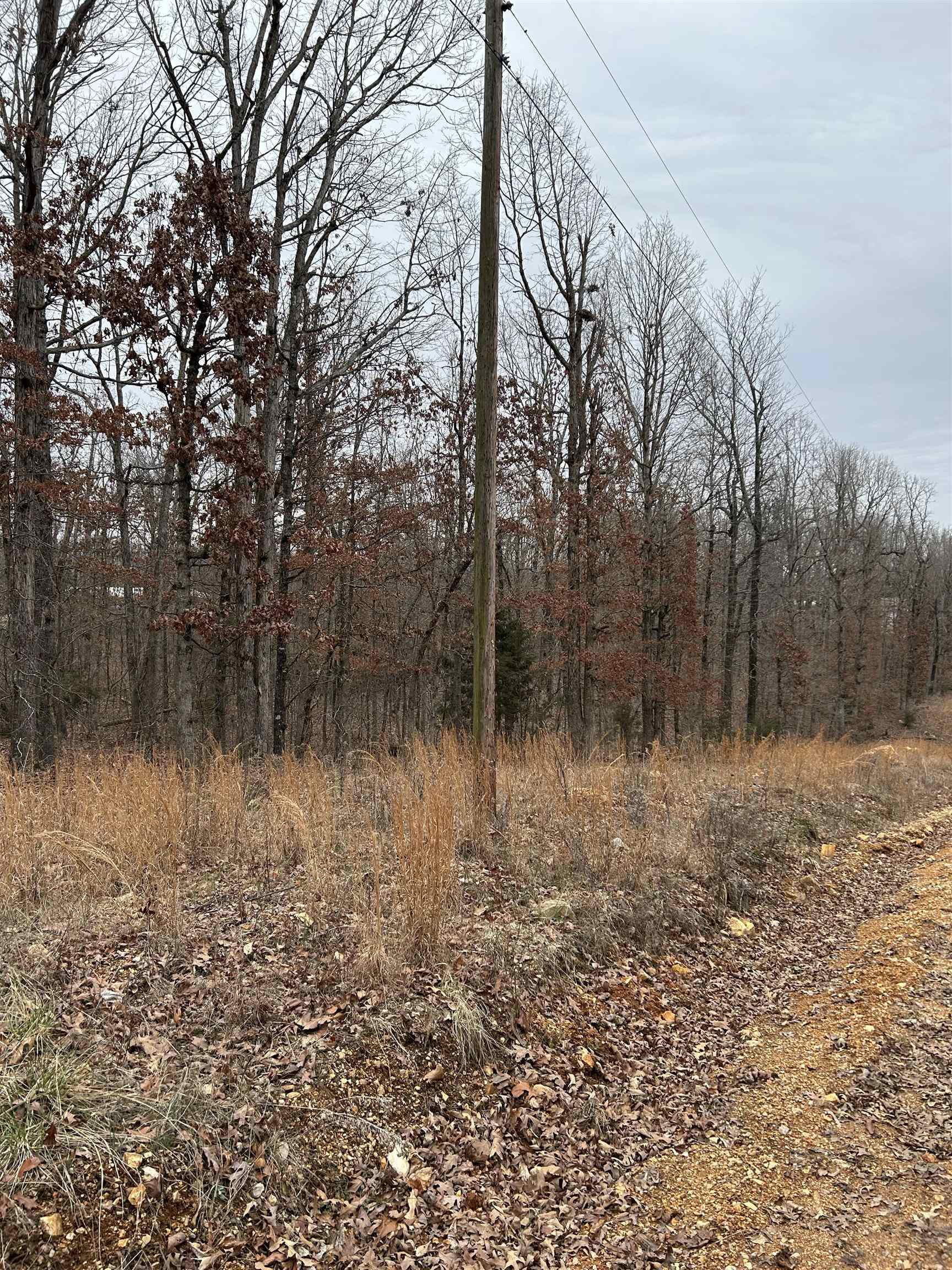lot 12 Blk 2  Medicine Lodge  Ozark Acres, AR