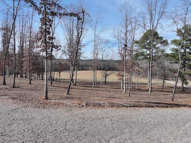 587  Owley  Mount Ida, AR