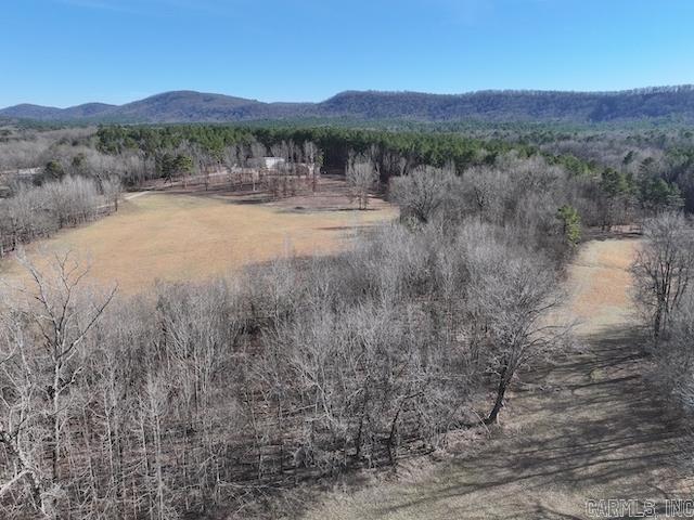 587  Owley  Mount Ida, AR