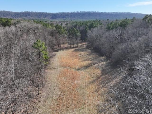 587  Owley  Mount Ida, AR